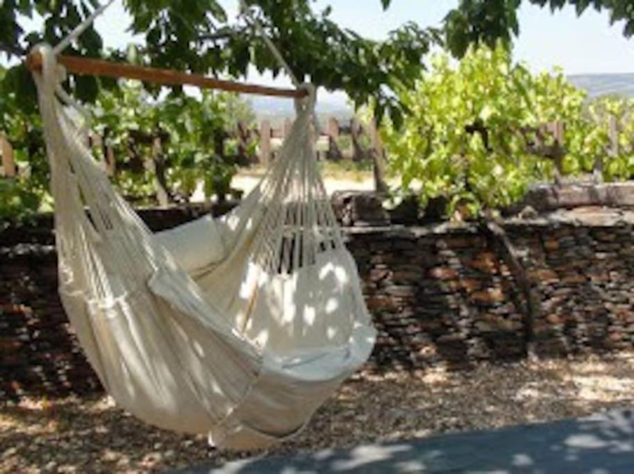 Cerezas y Miel