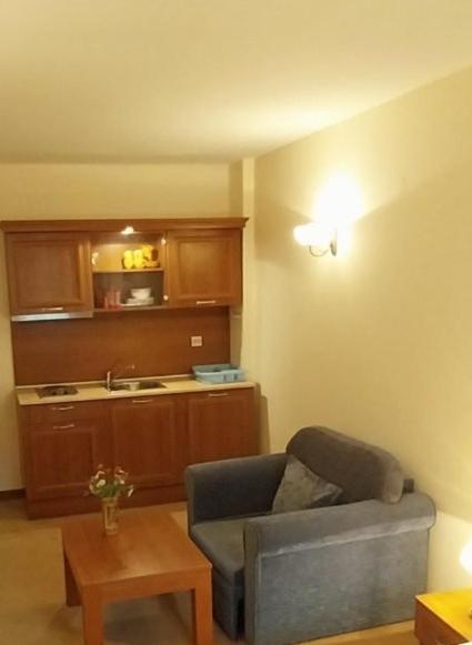 Bansko Vacations - Ski view suite Emerald Hotel Bansko - Property Image 9