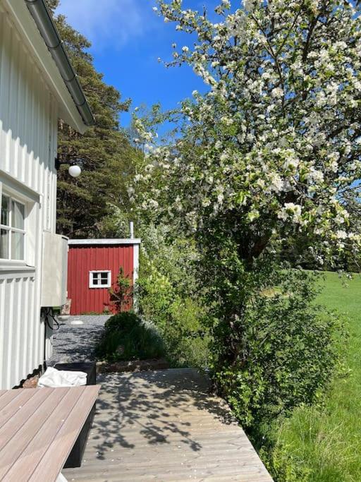 19th-century cottage on the Swedish West Coast view 3
