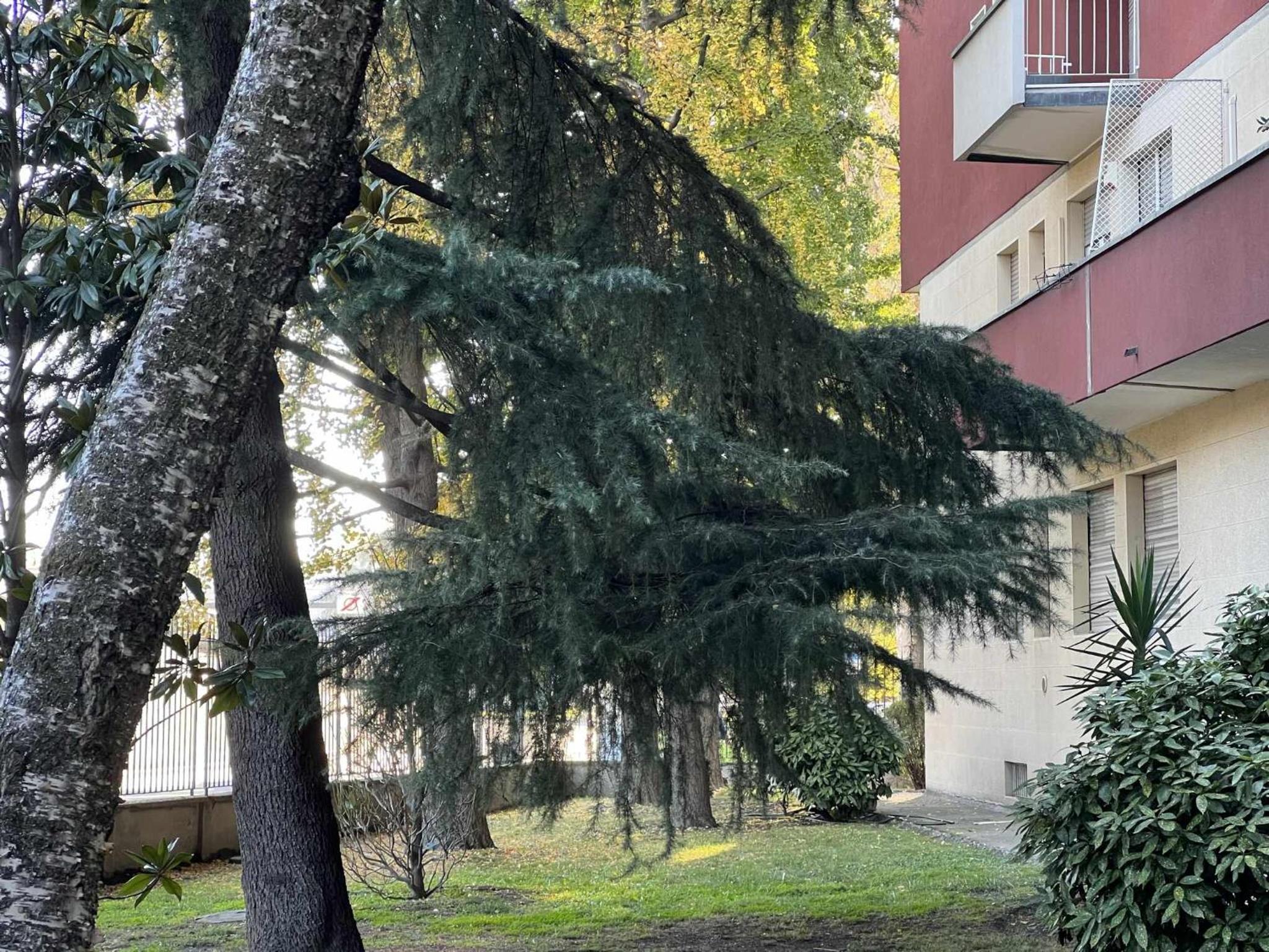 Nene Studio WiFi Gigabit Fiera Rho Milano City photo 5