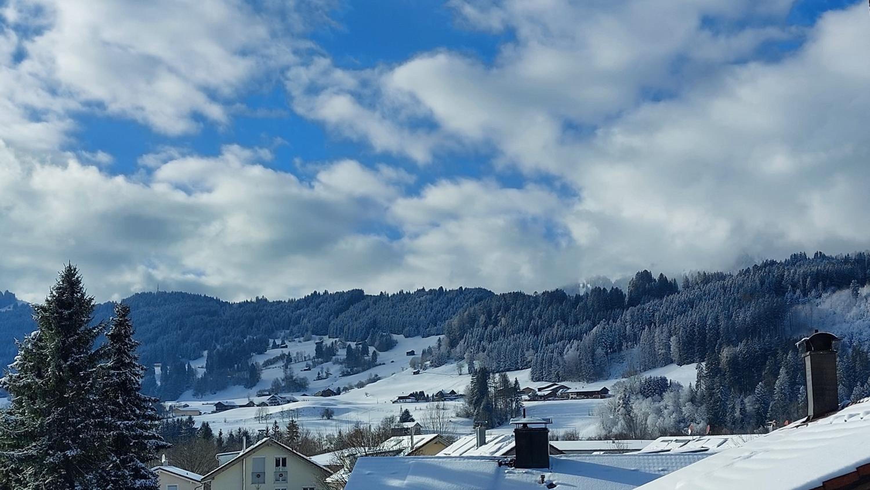 Ferienwohnung Alpenvogel