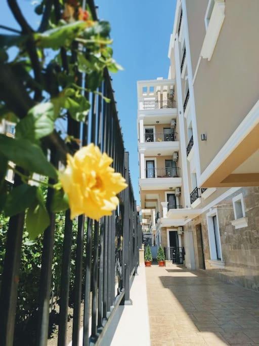 Mary Beach Resort Premium Apartments