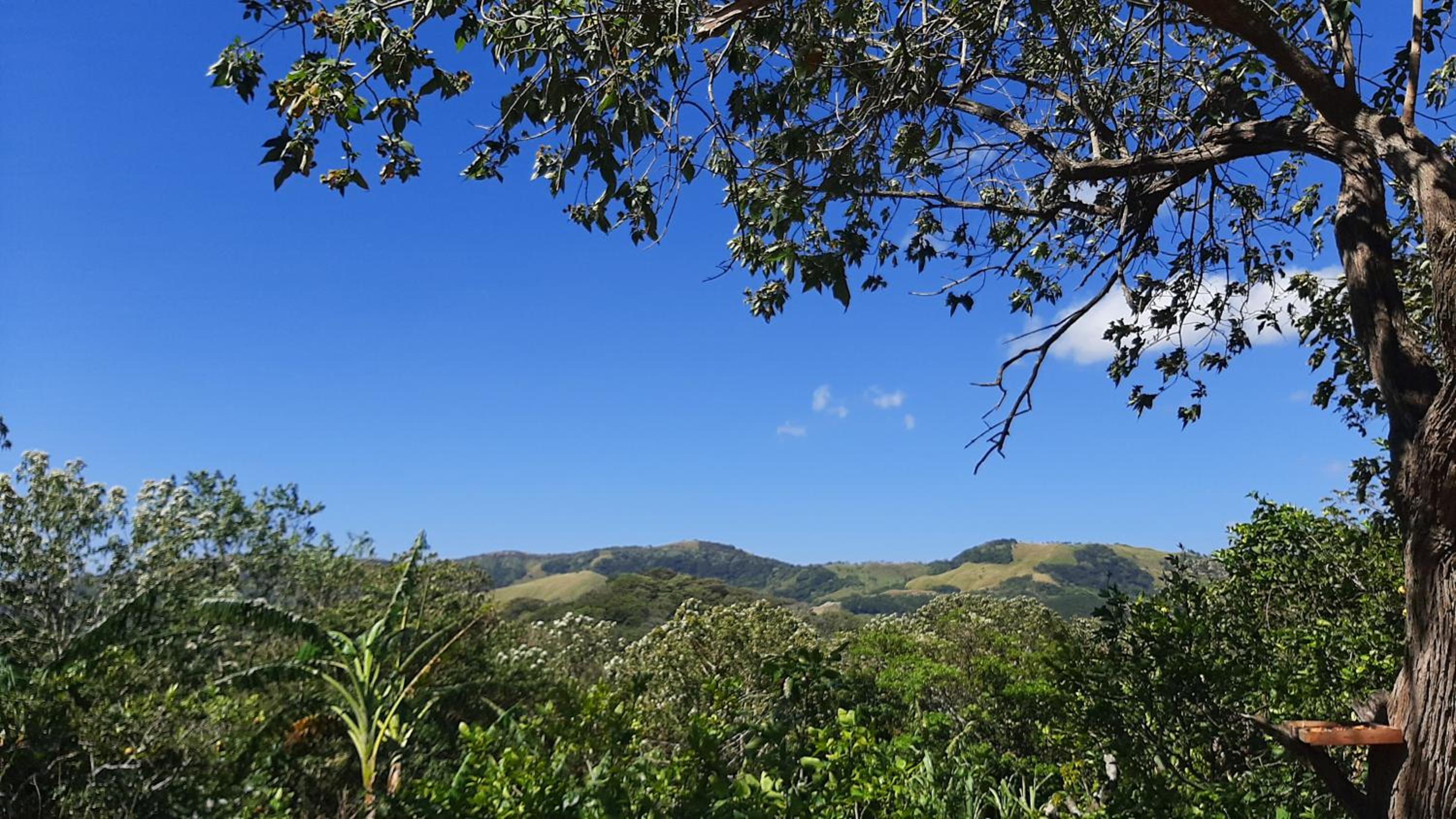 Granja los Campesinos
