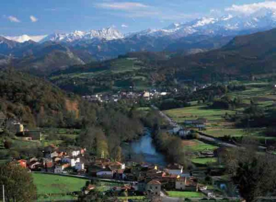 Salmosalar