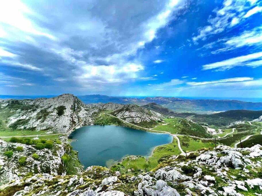 Salmosalar