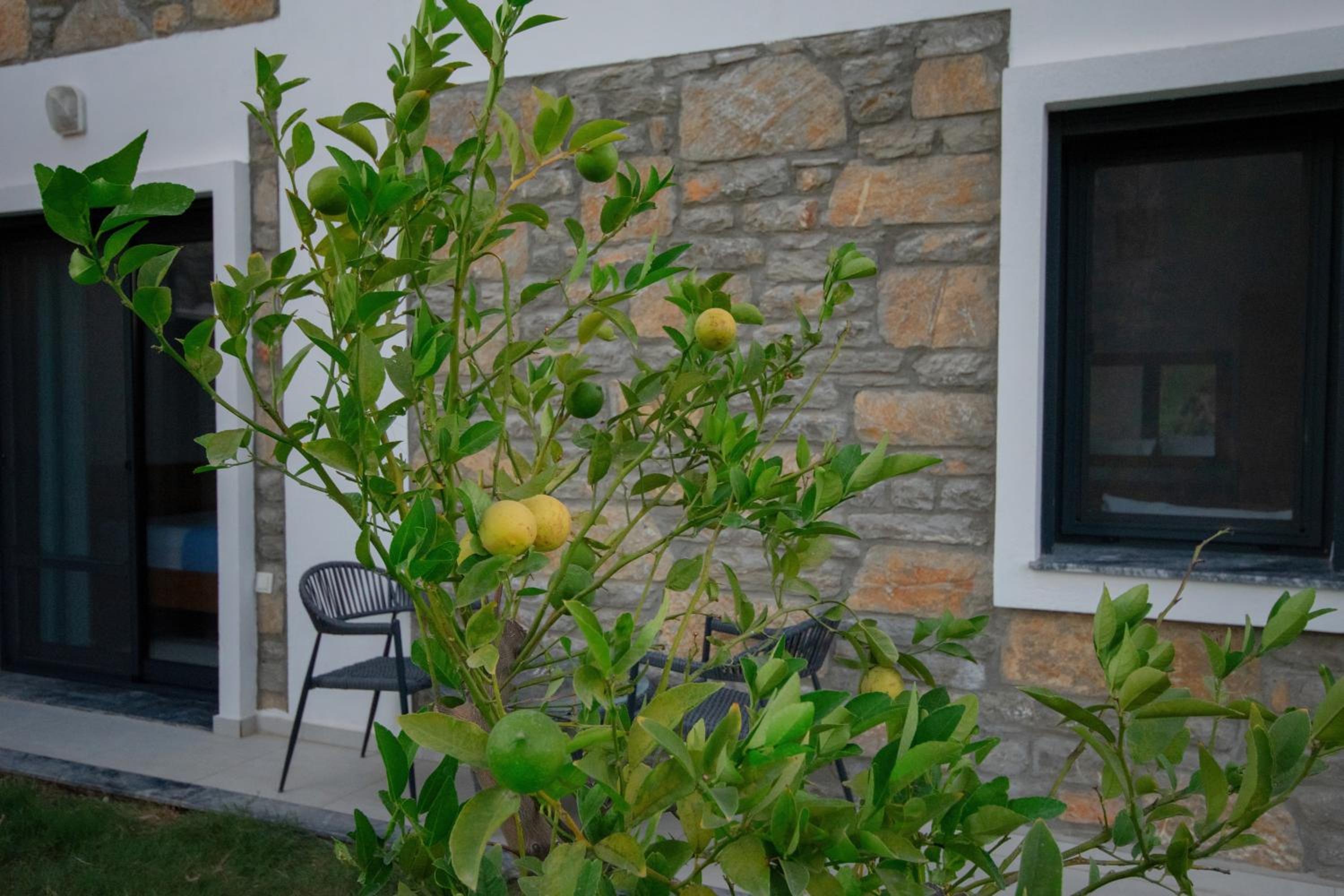 Photo 21