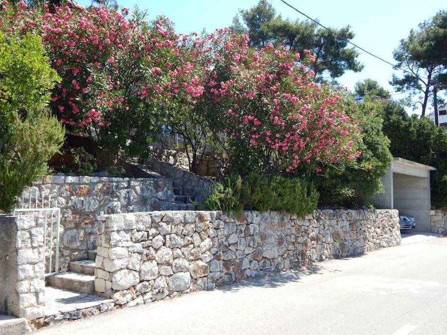 Mediterranean Jewel