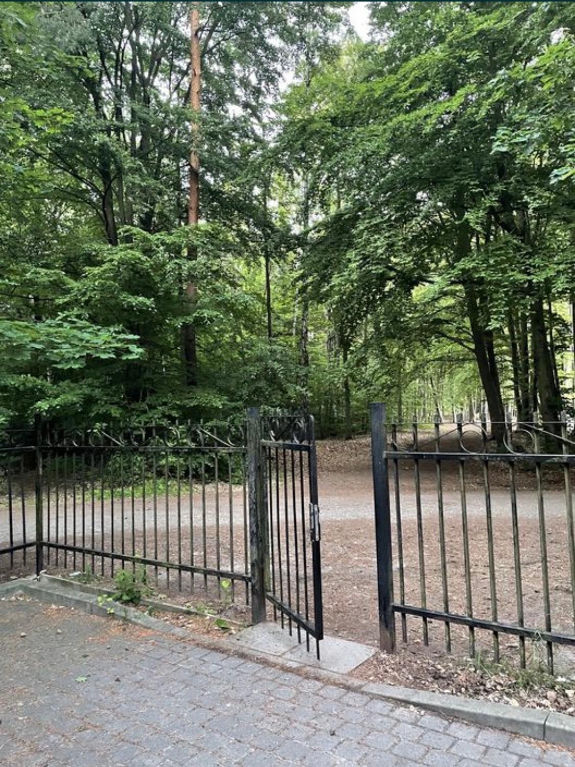 Apartament Jantarowe Zacisze Rose view 2