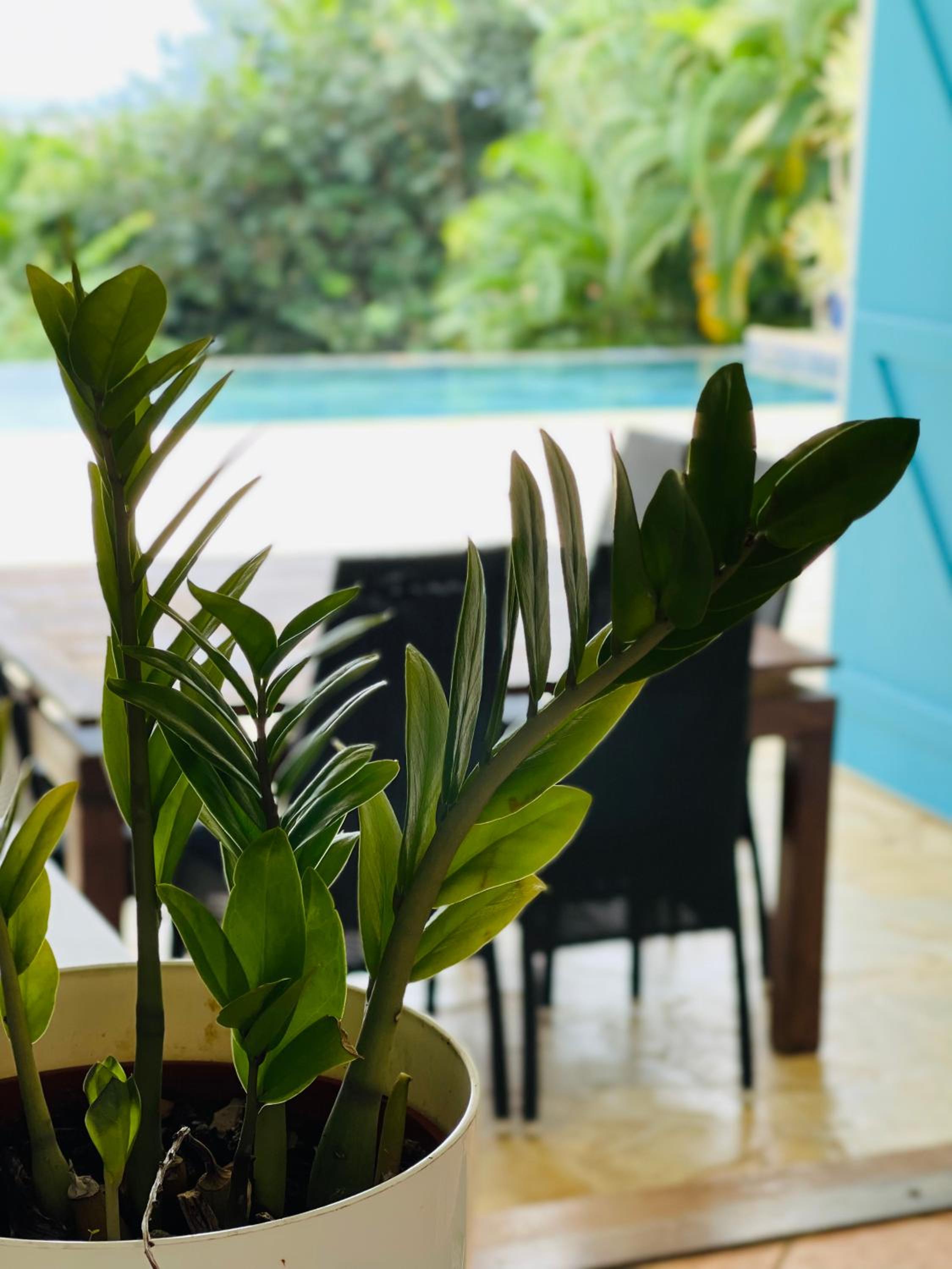 Maison La Samana view 3