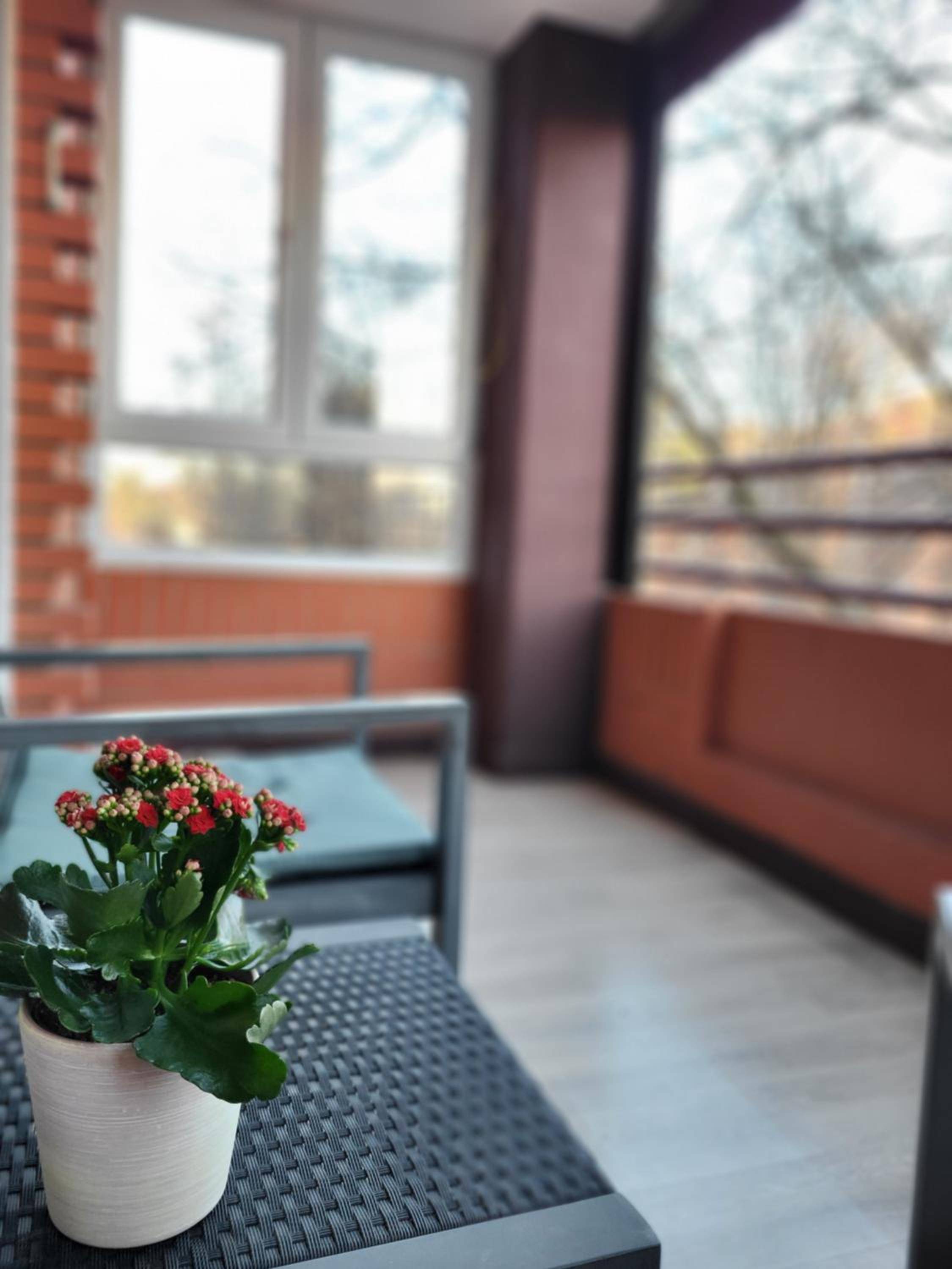 Breeze Apartment