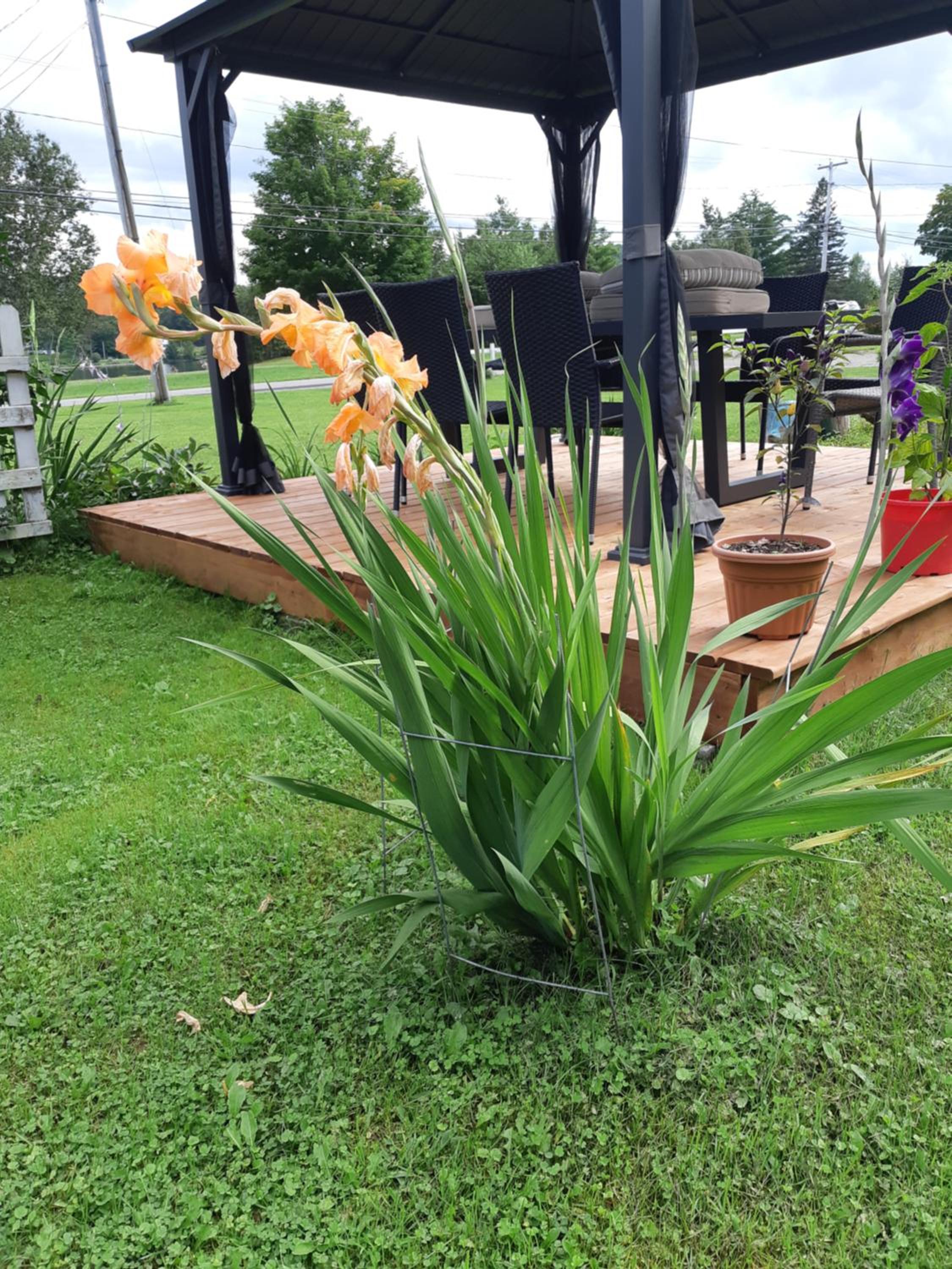 Big Axe Bed & Breakfast