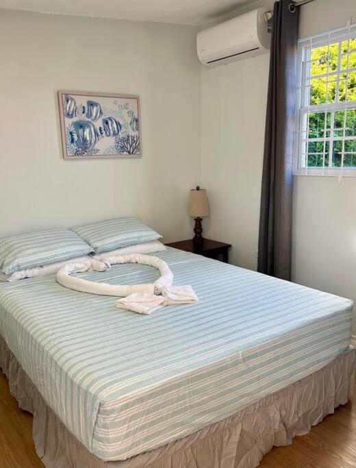 Island Life Apartment