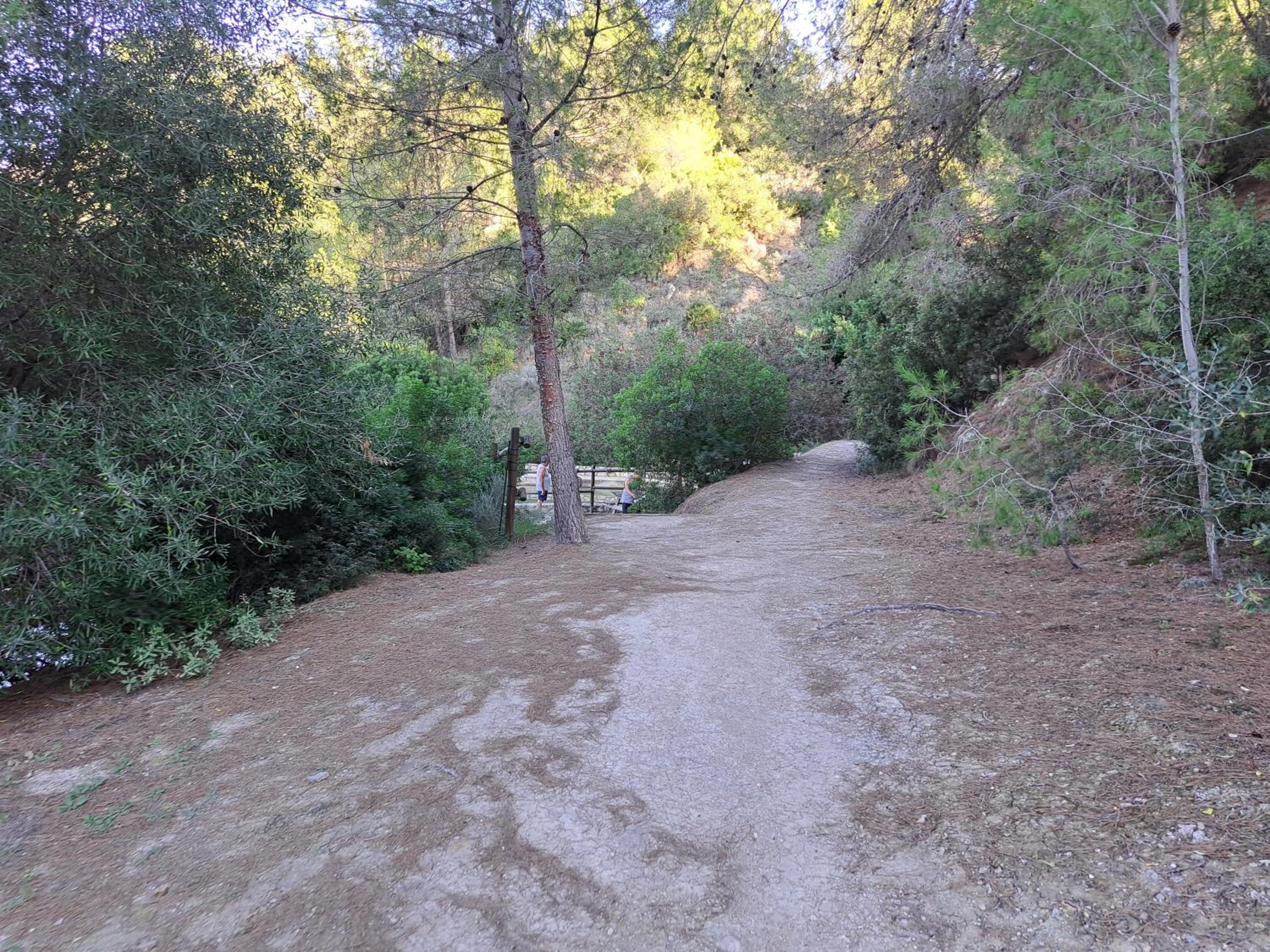 Photo 28