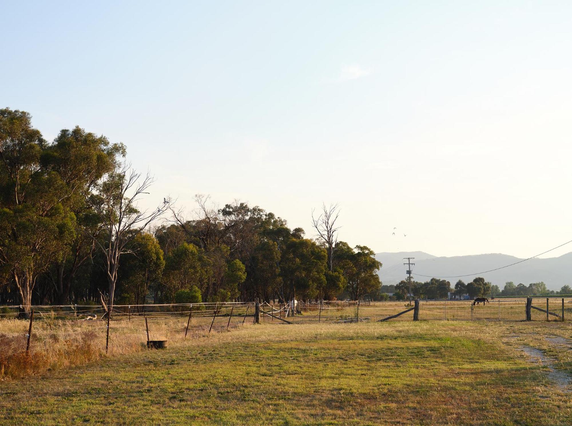 Shawwood Estate