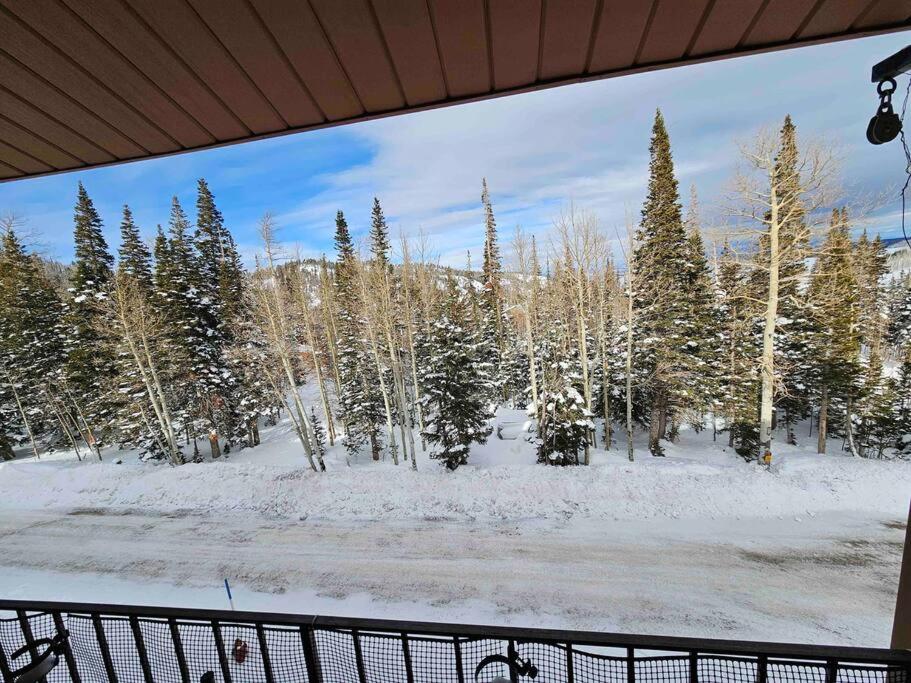 The Hidden Moose