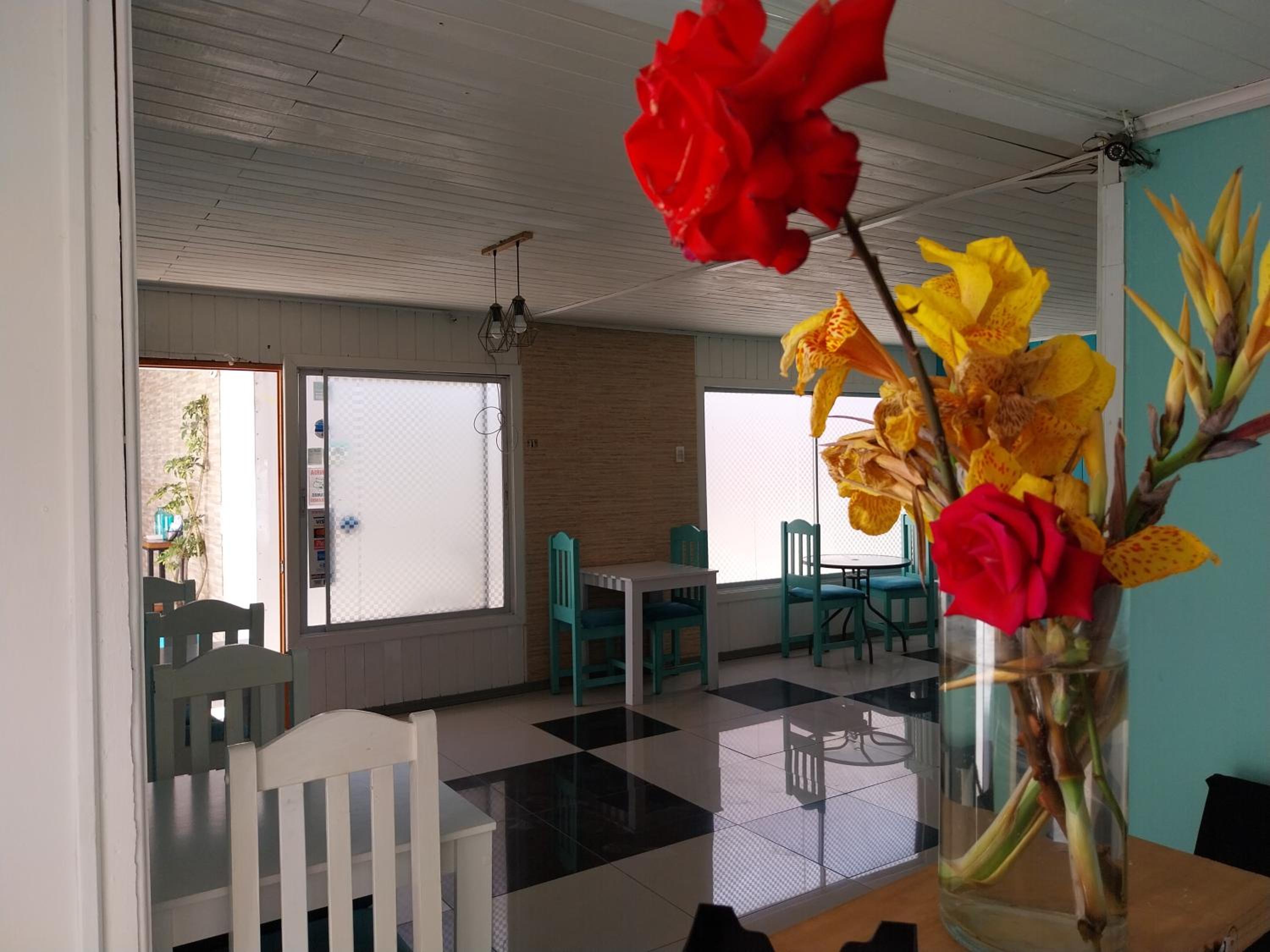Hostal Avenue