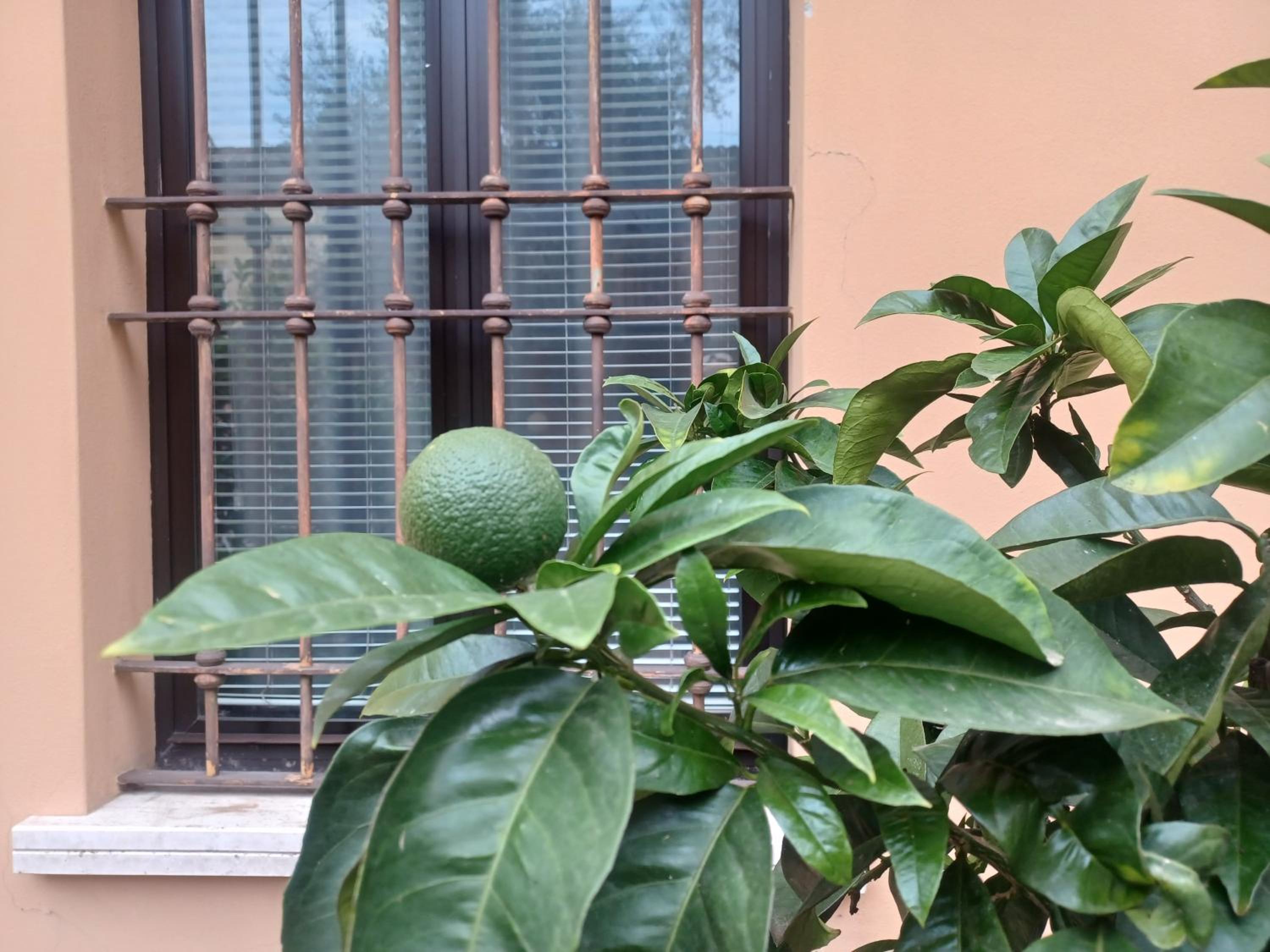 GARDALEMONHOUSE