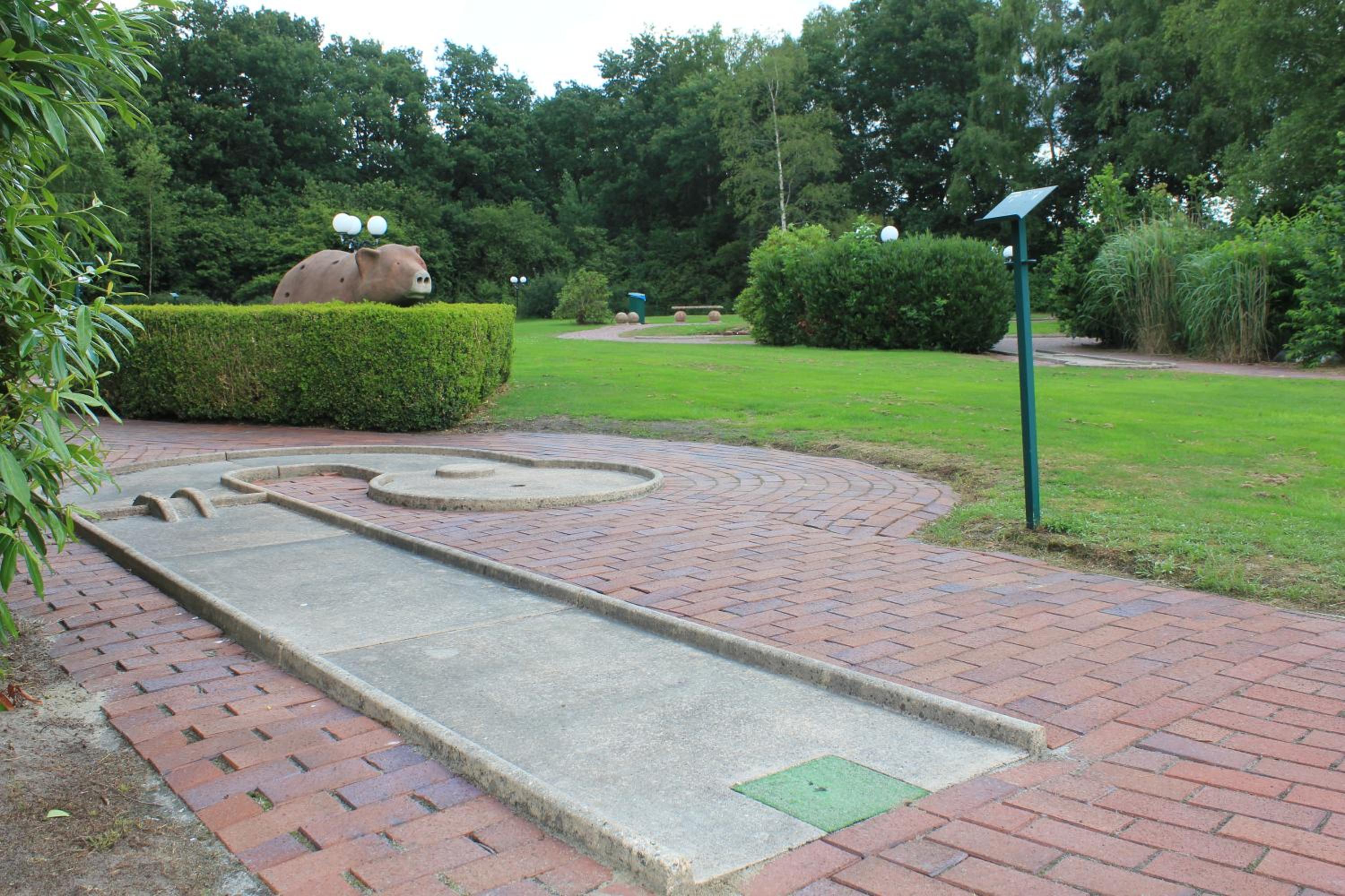Photo 19