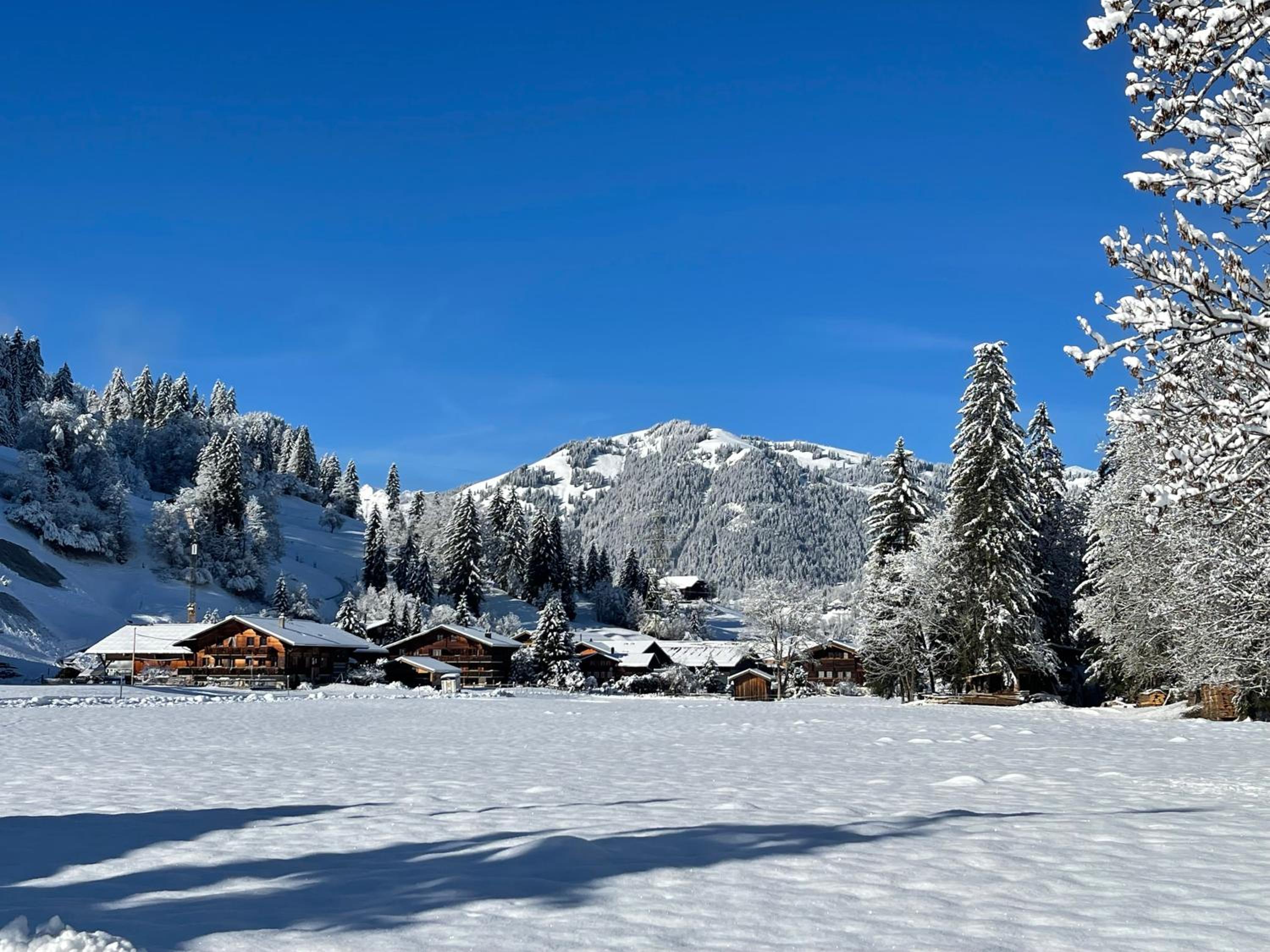 Gstaad Chalet