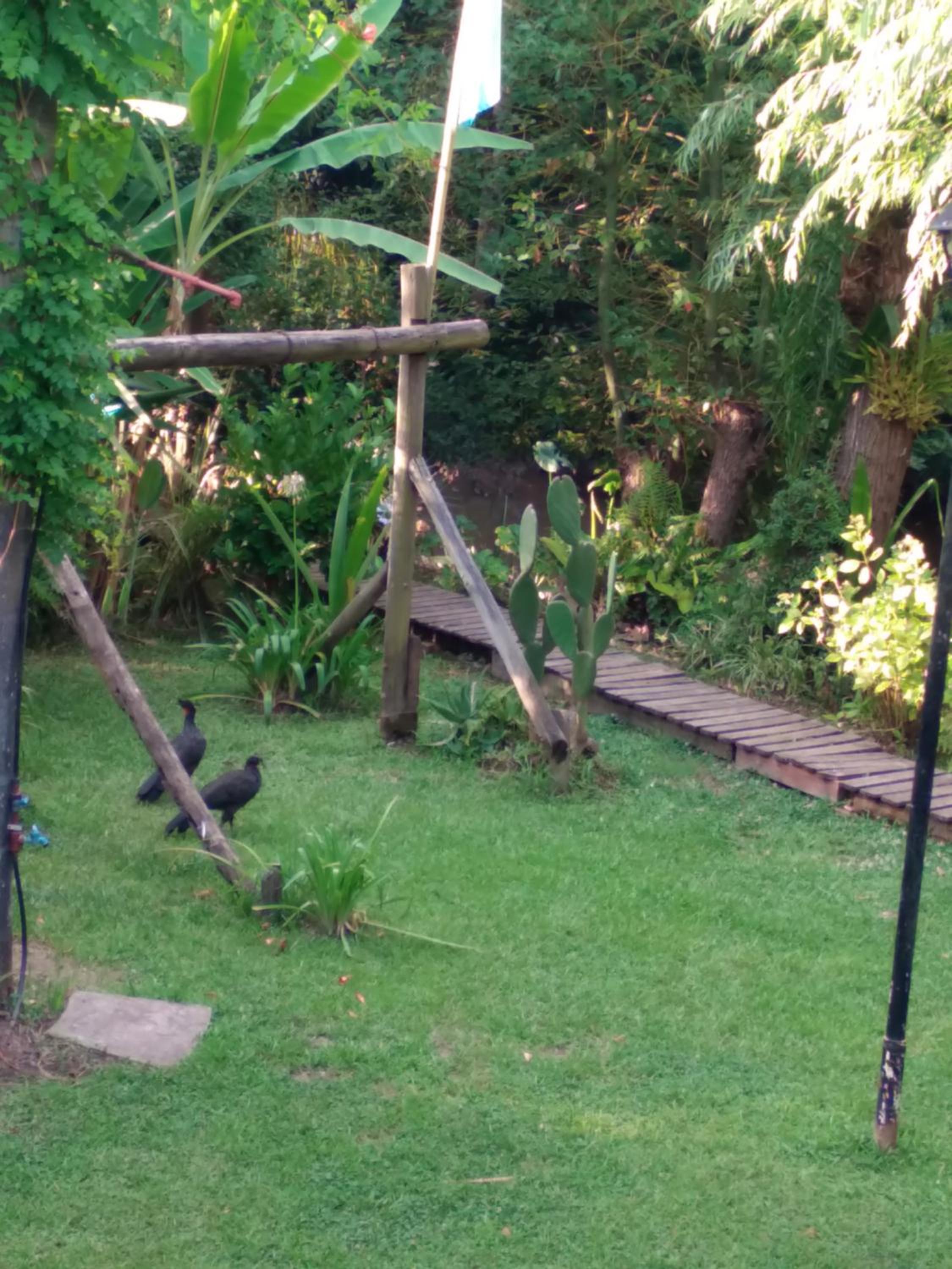 Cabañas Nontue