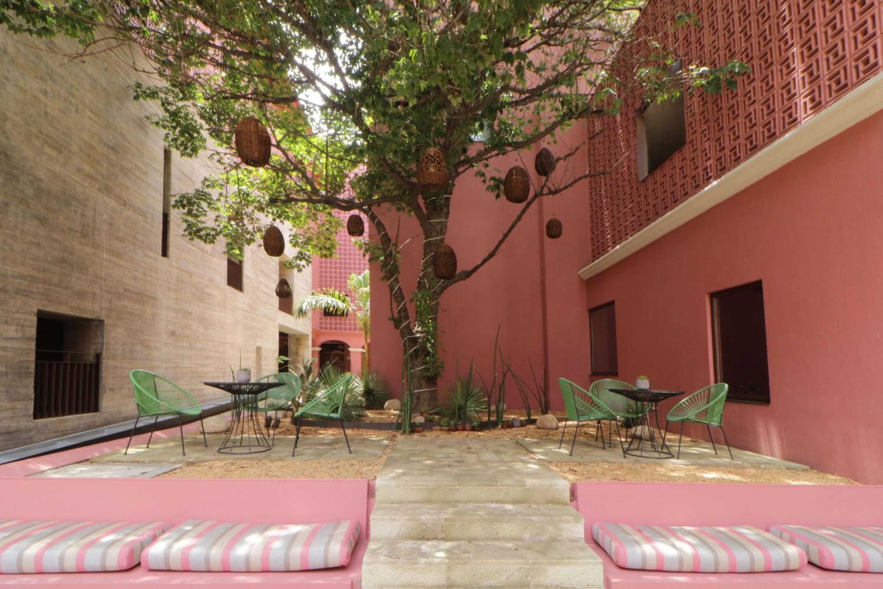 City Centro by Marriott Oaxaca - Property Image 16
