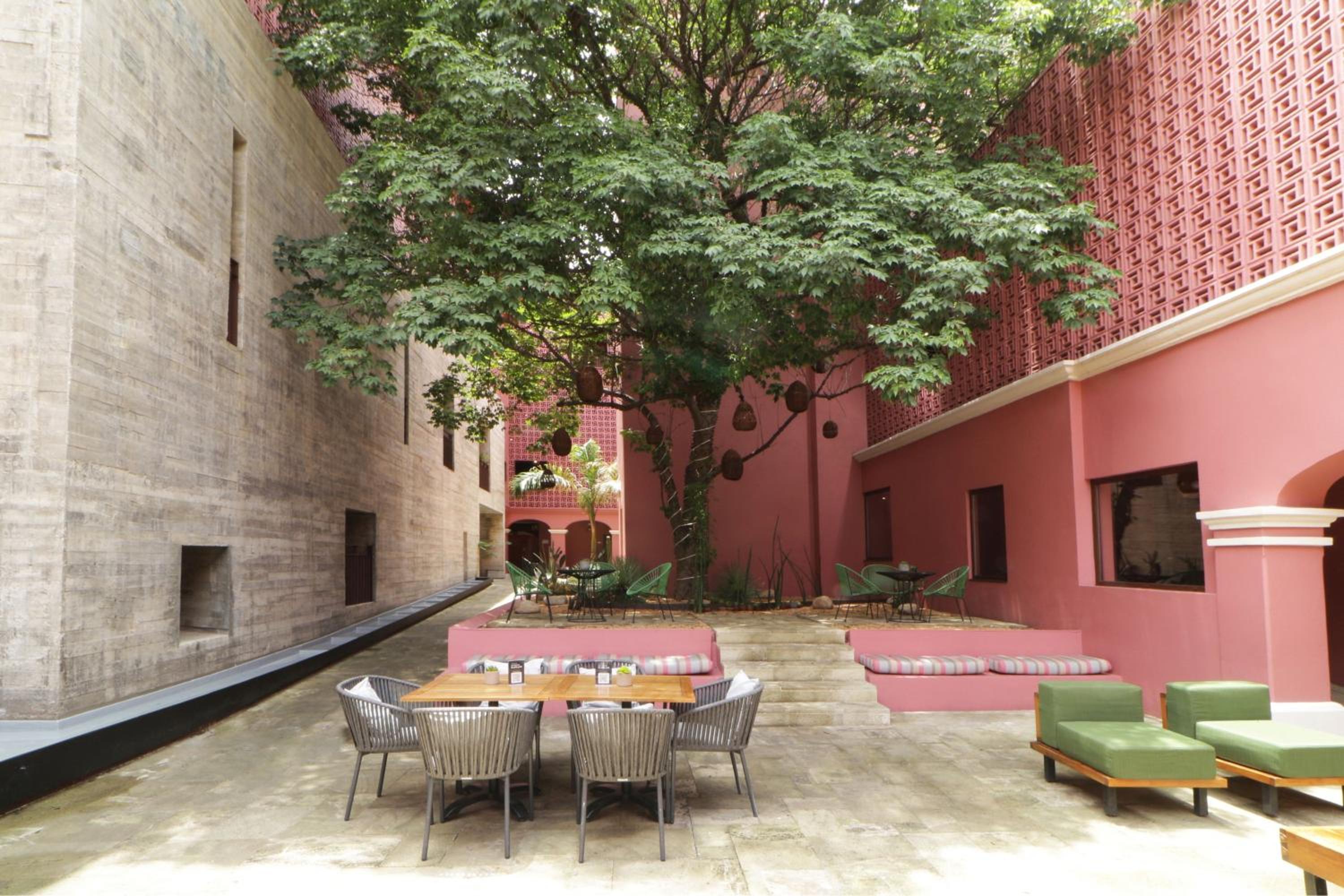 City Centro by Marriott Oaxaca - Property Image 13