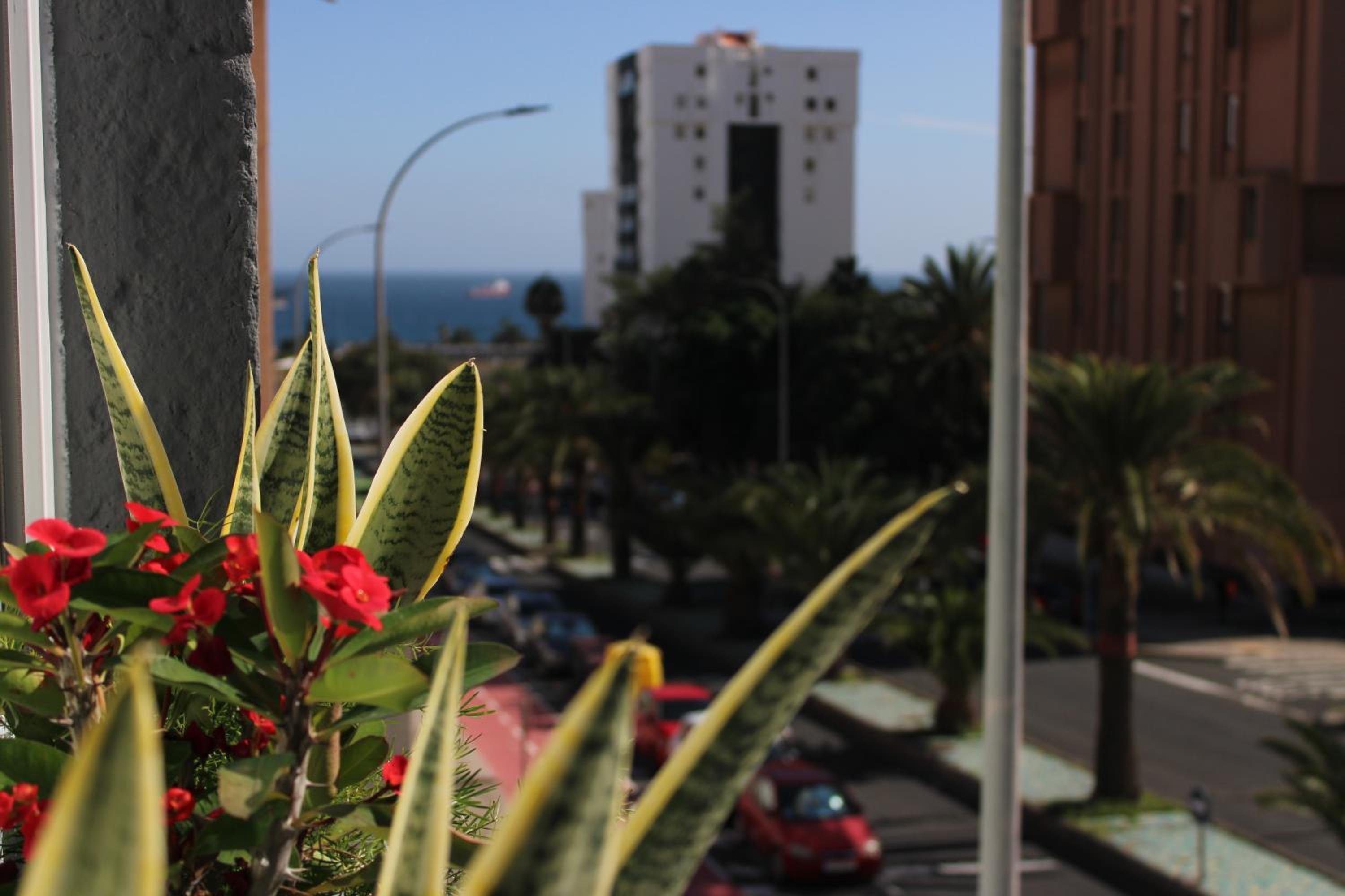 Bambú Suites Vegueta Alquiler por Habitación