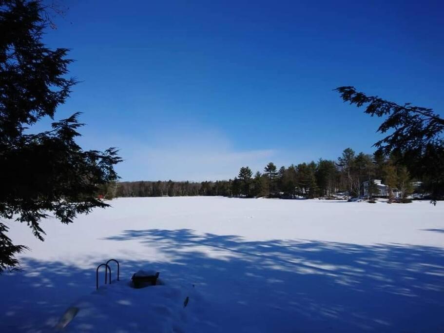 Luxury Cottage in South Parry Sound