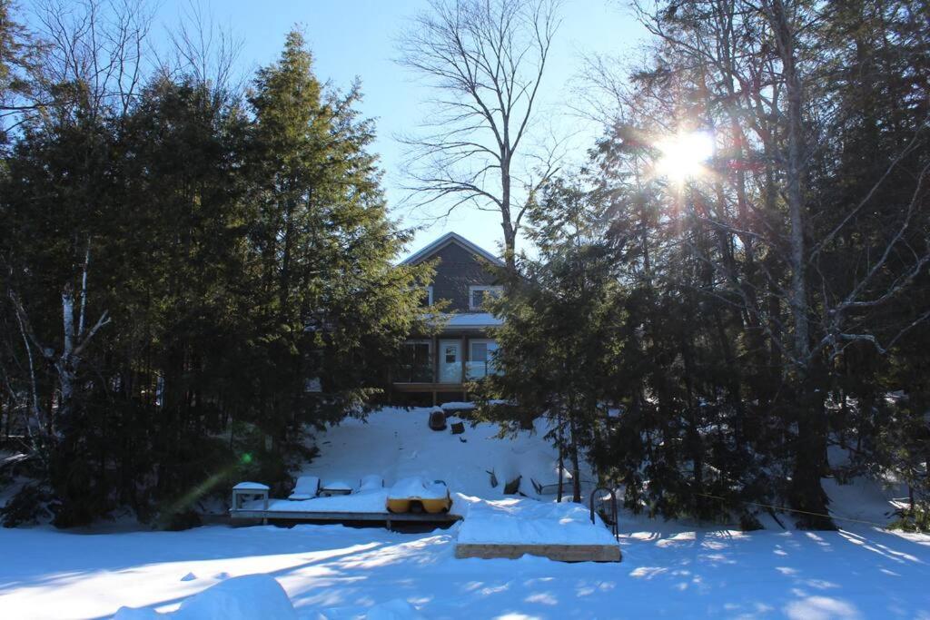 Luxury Cottage in South Parry Sound