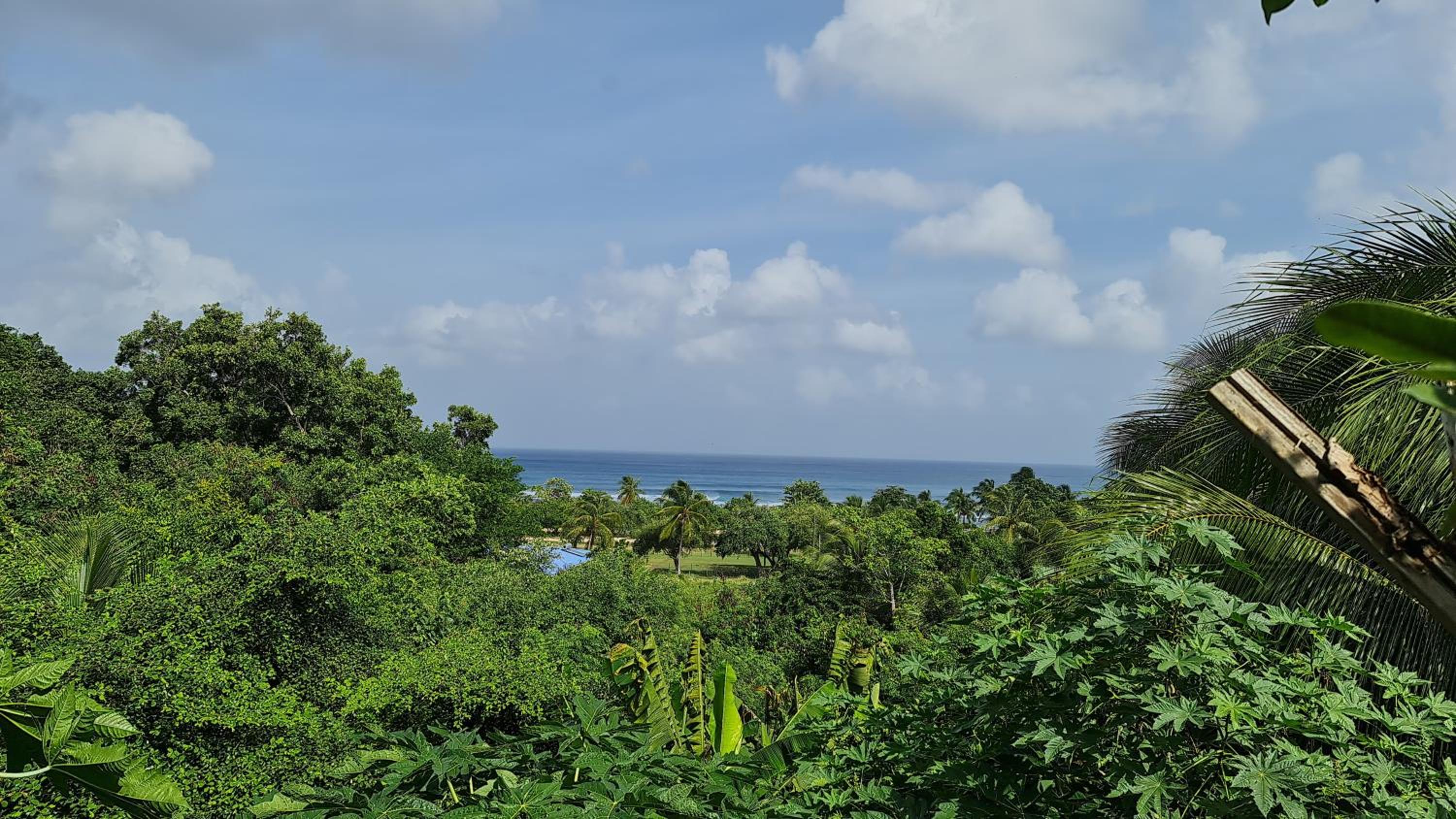 Le Domharry view 2