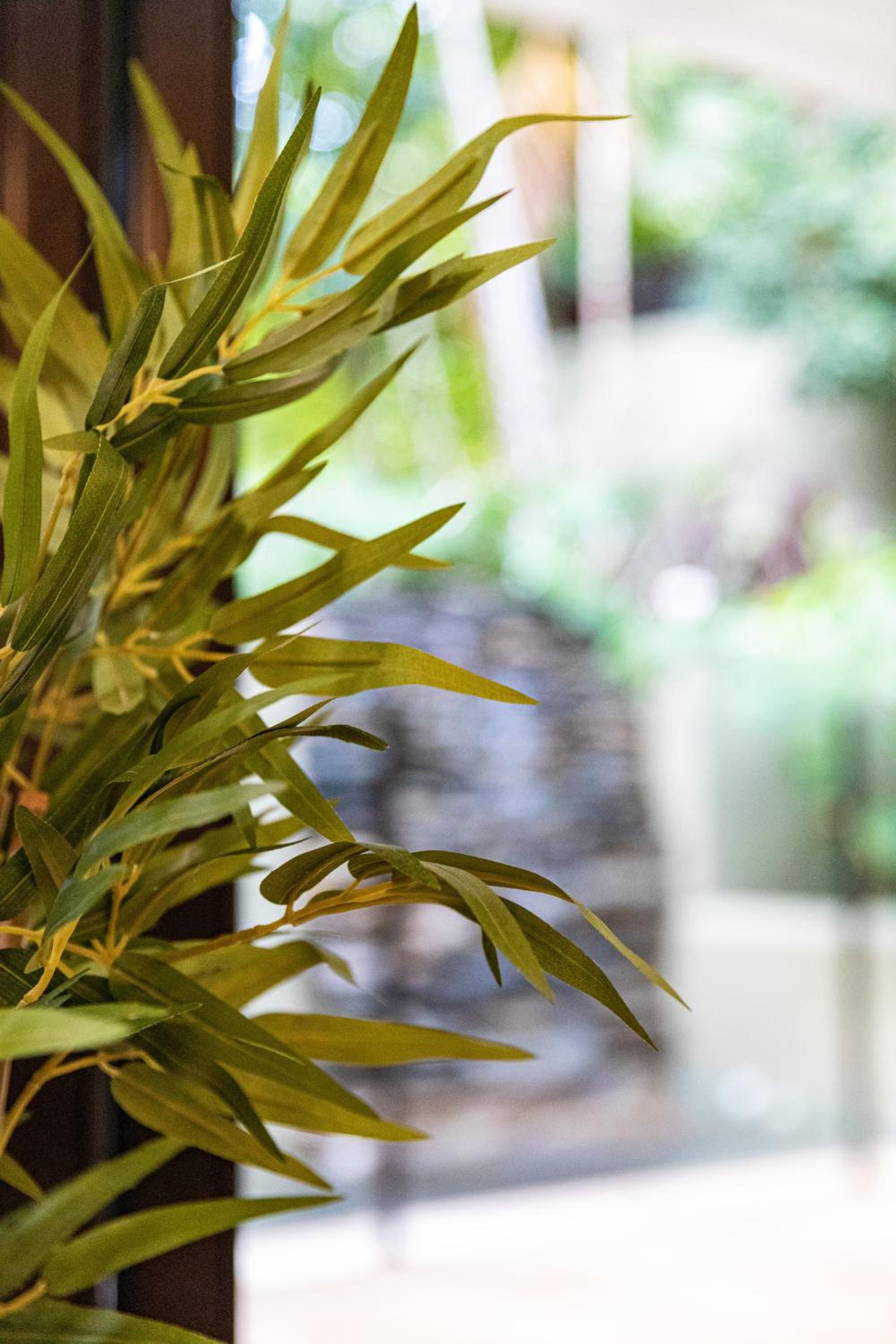 Amalfi - Port Douglas, luxury in the centre of town