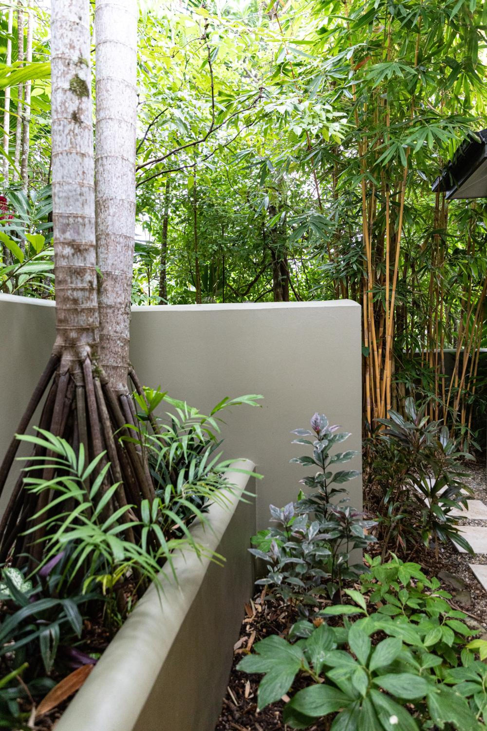Amalfi - Port Douglas, luxury in the centre of town
