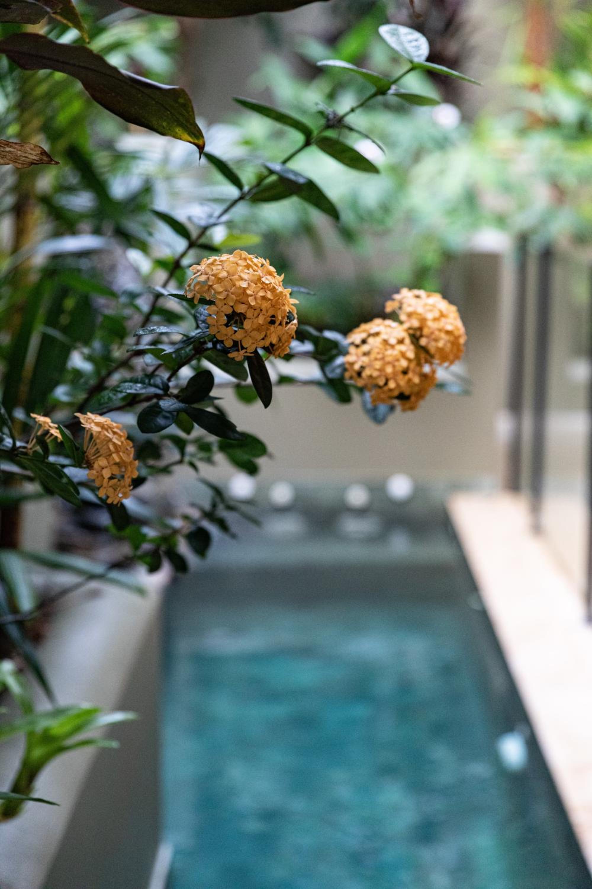 Amalfi - Port Douglas, luxury in the centre of town
