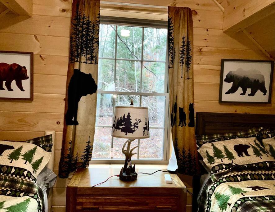 New mountainside log cabin view 4