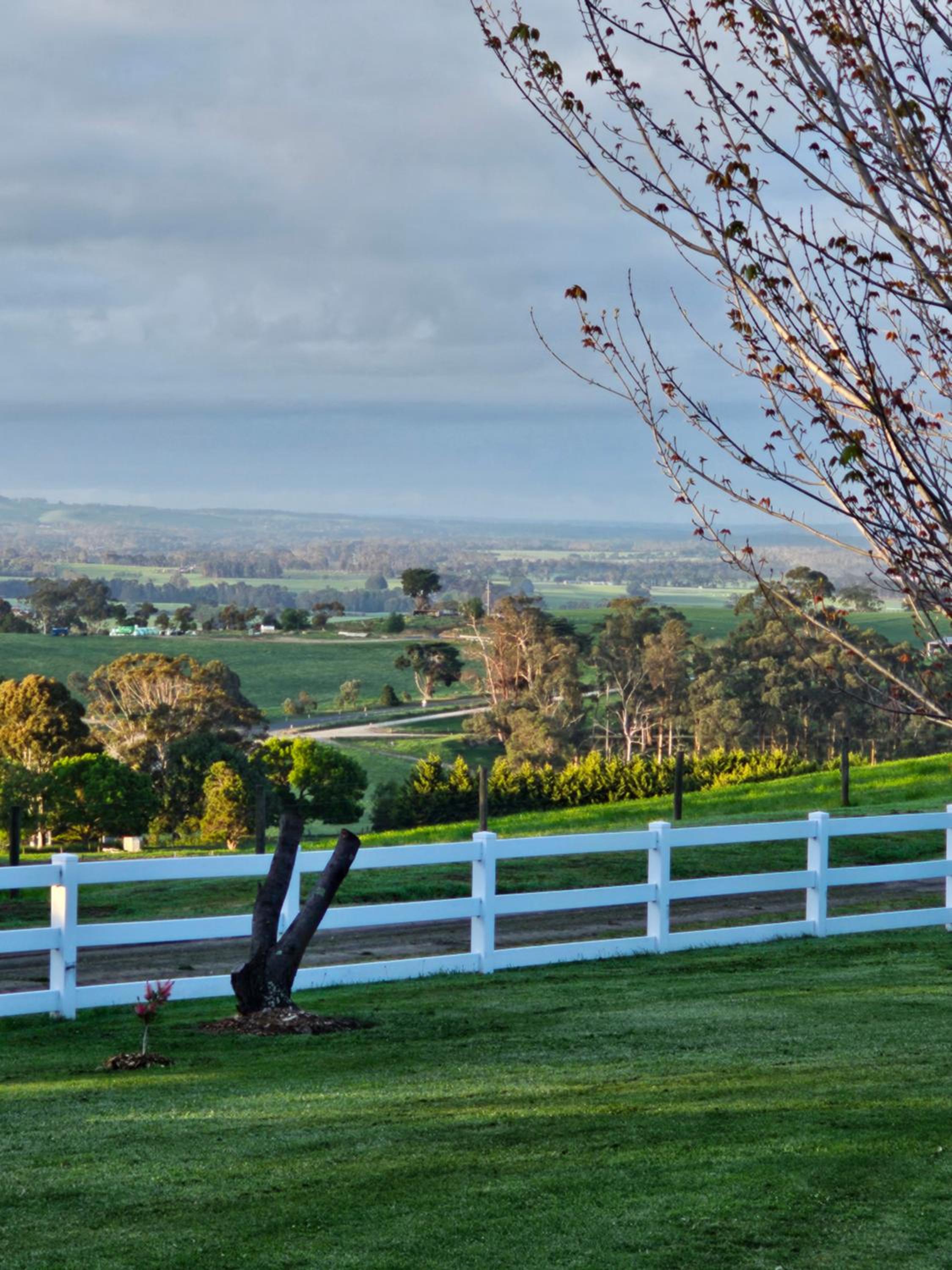 Maple Ridge Cottages