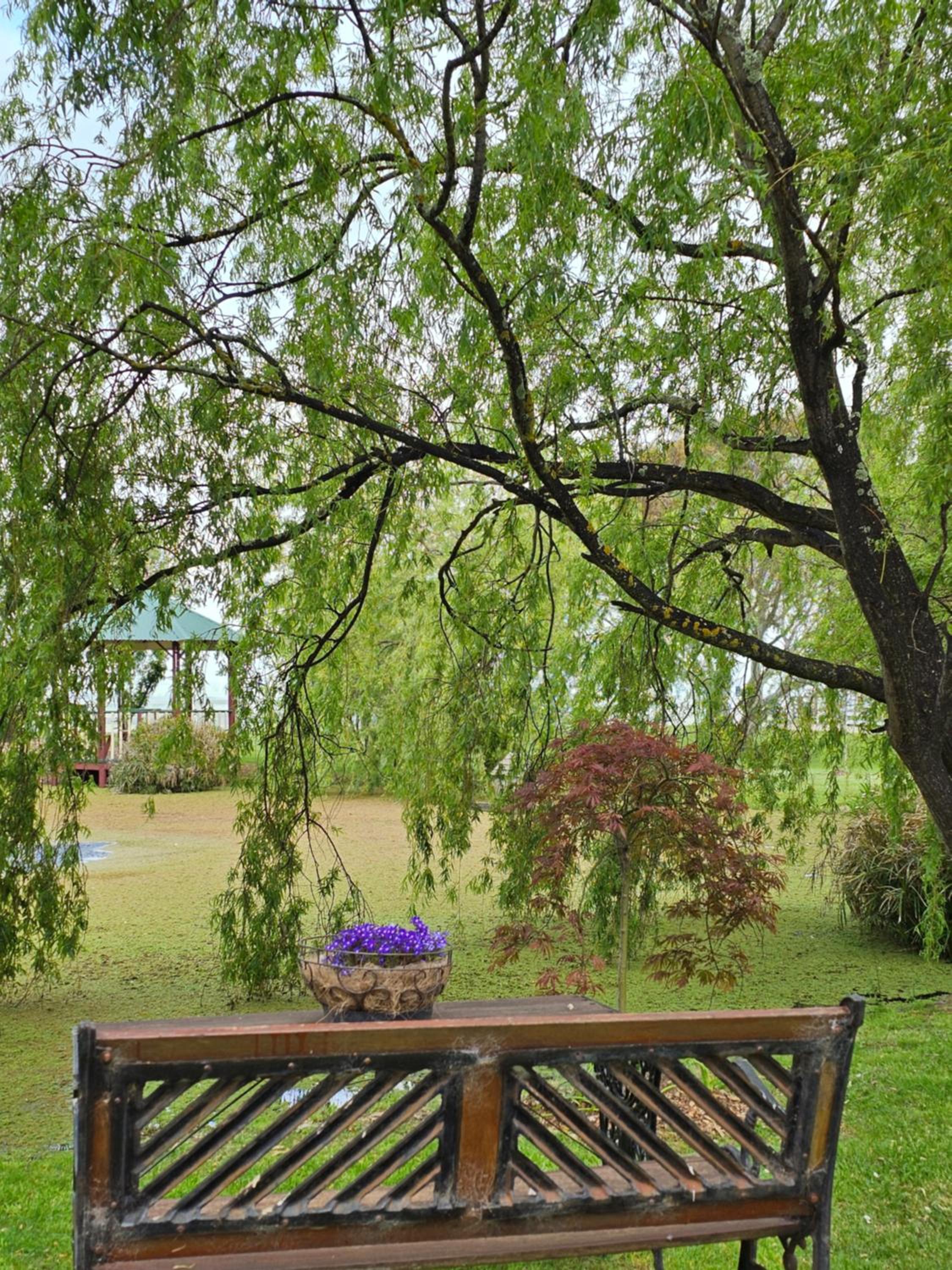 Maple Ridge Cottages