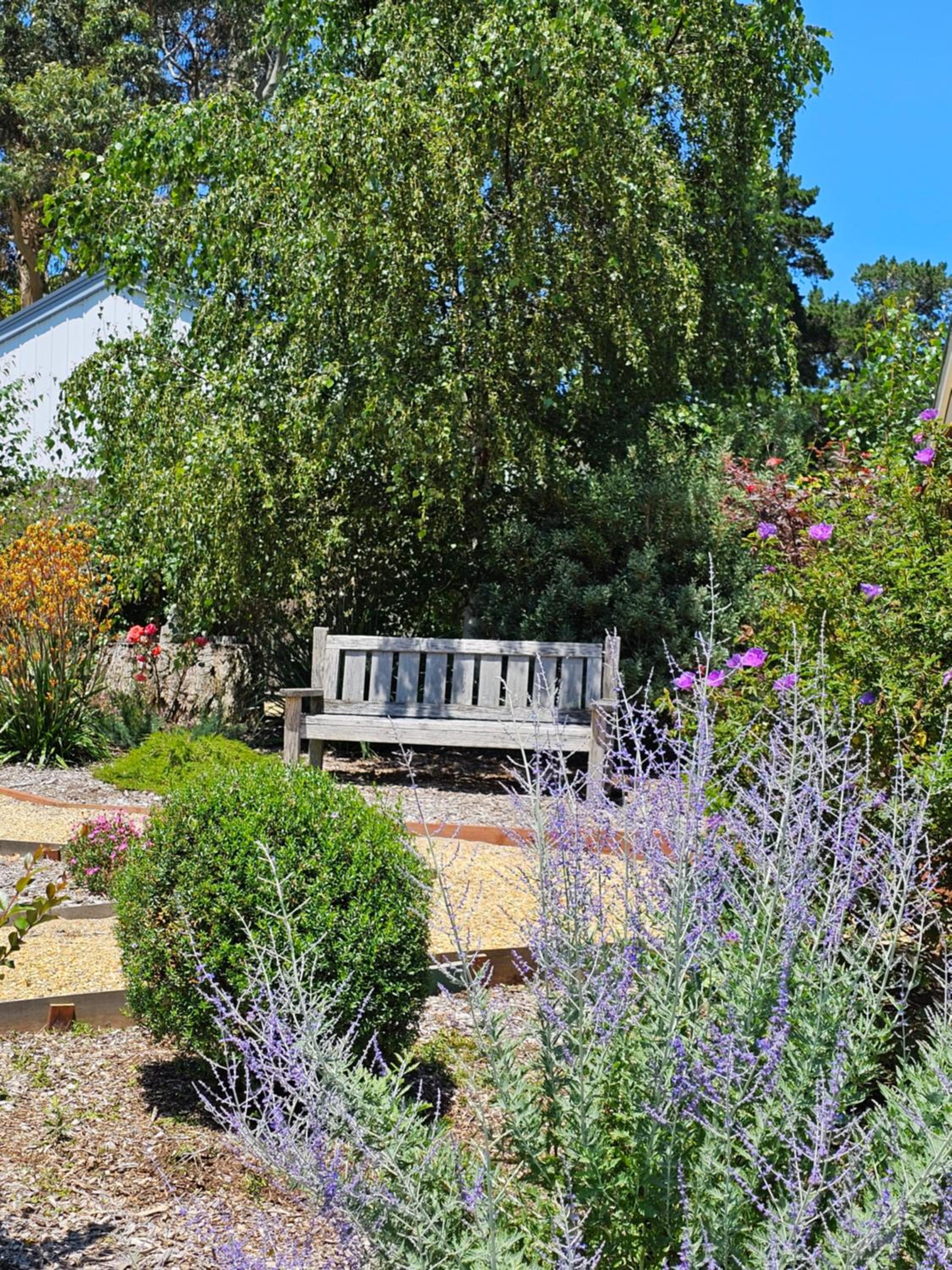 Maple Ridge Cottages