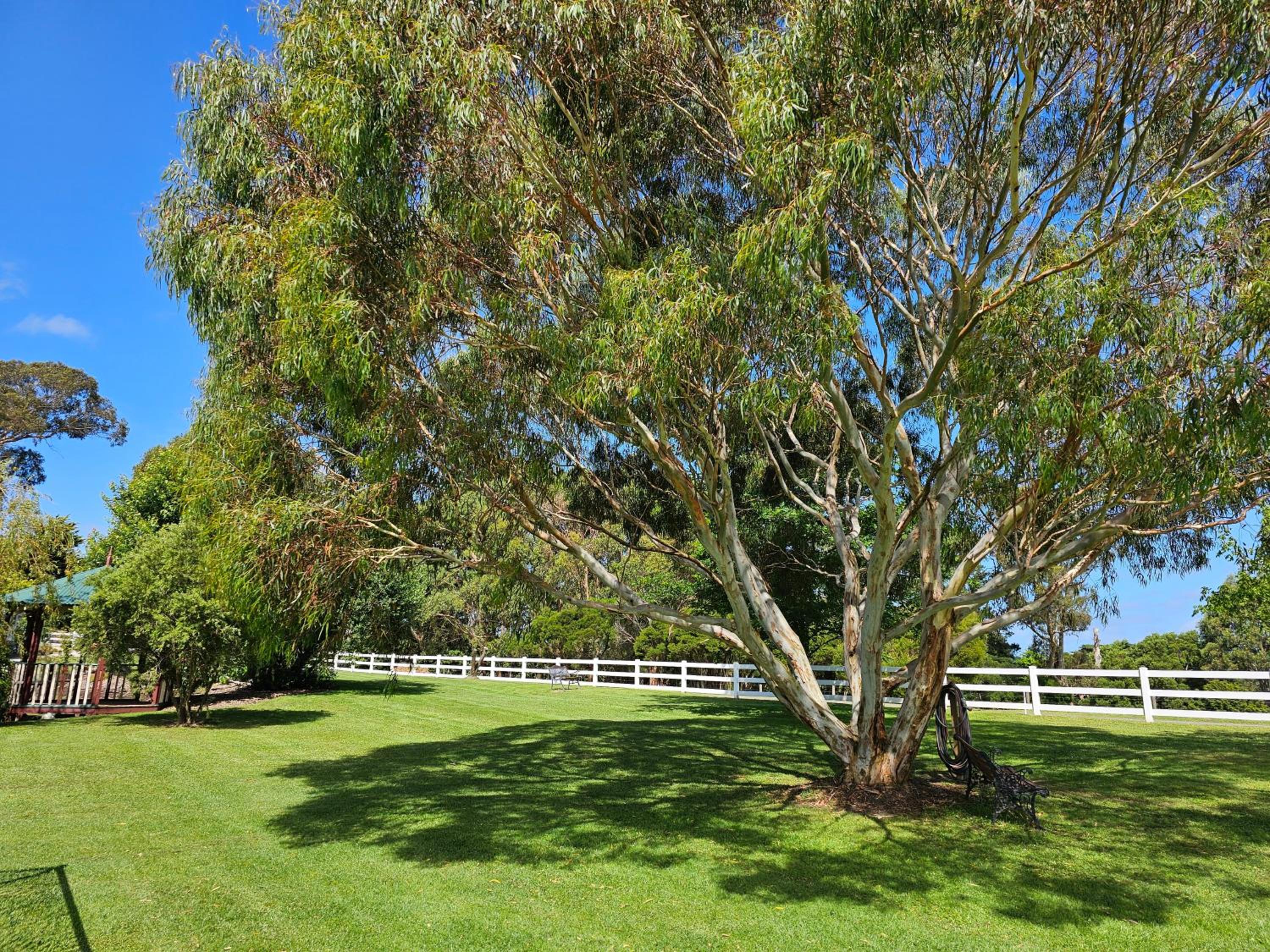 Maple Ridge Cottages