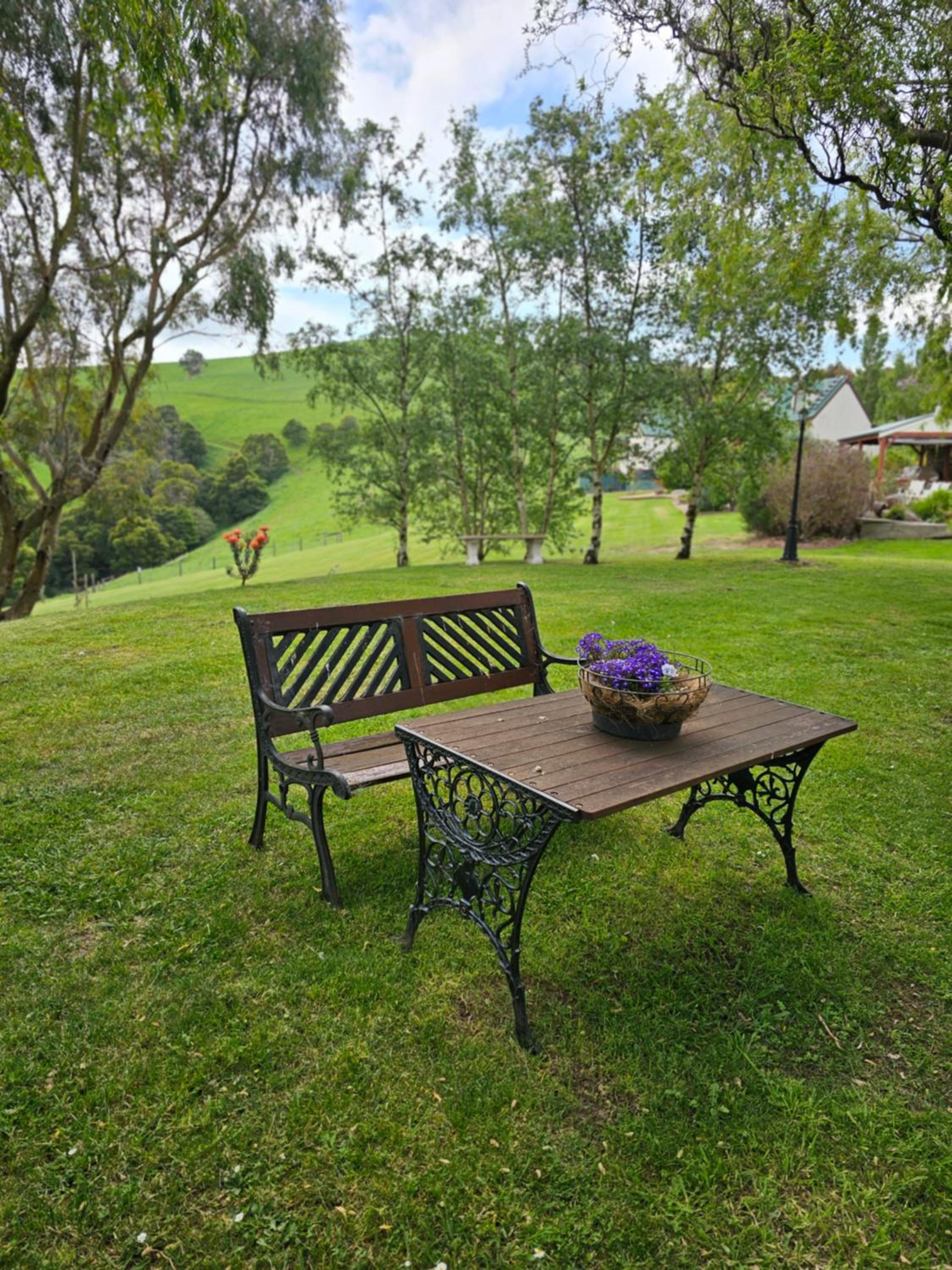 Maple Ridge Cottages