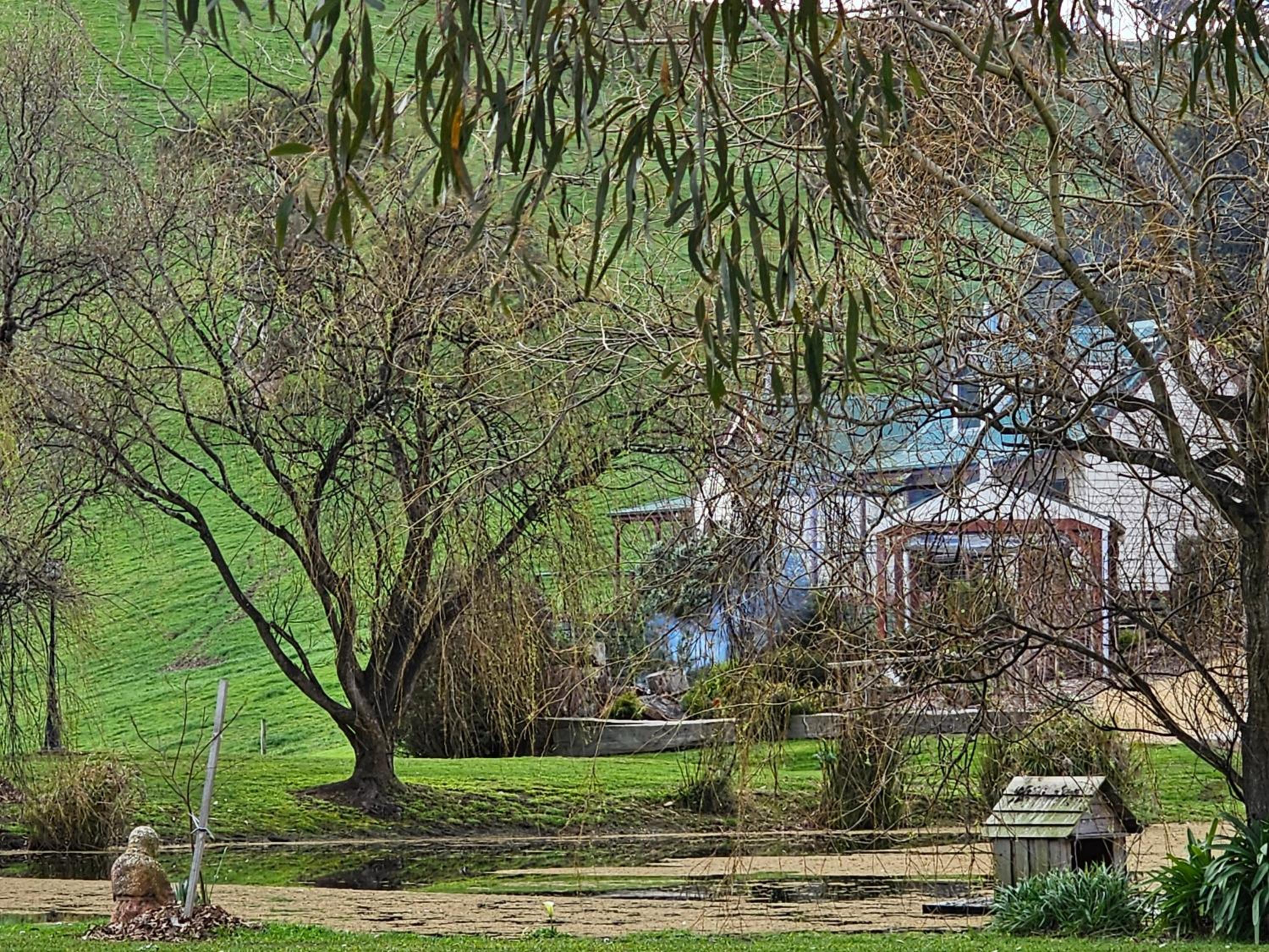 Maple Ridge Cottages