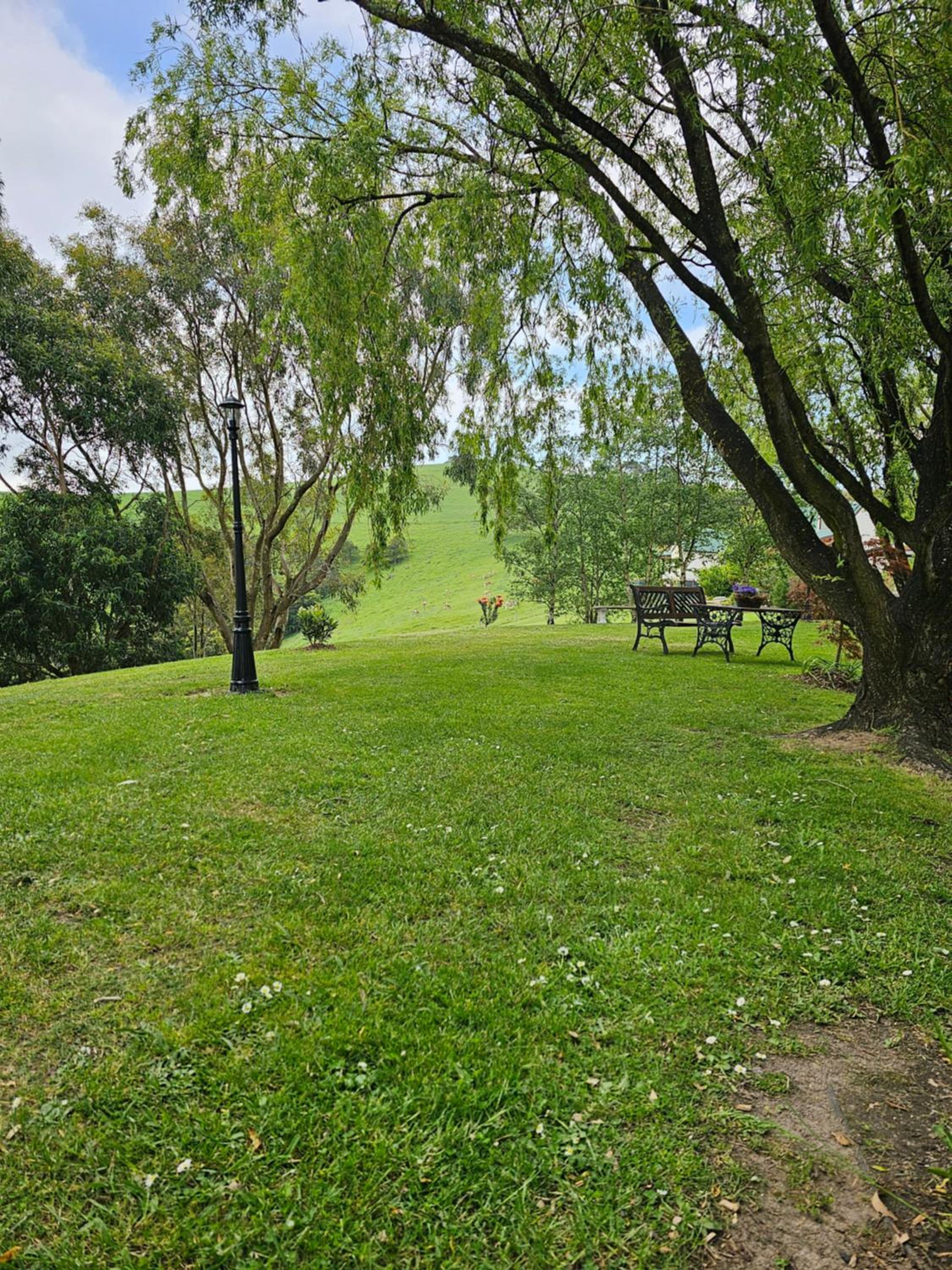 Maple Ridge Cottages