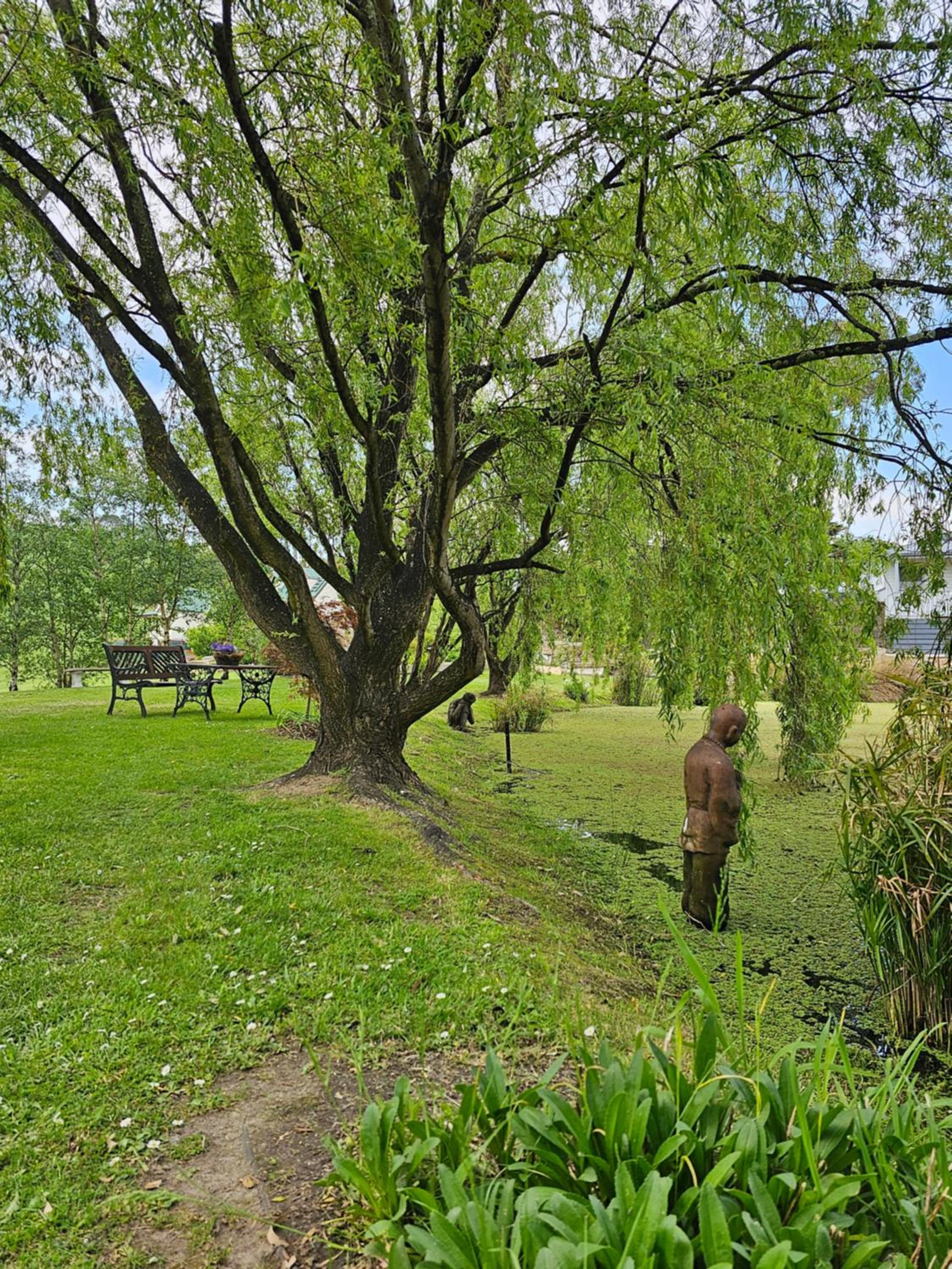 Maple Ridge Cottages