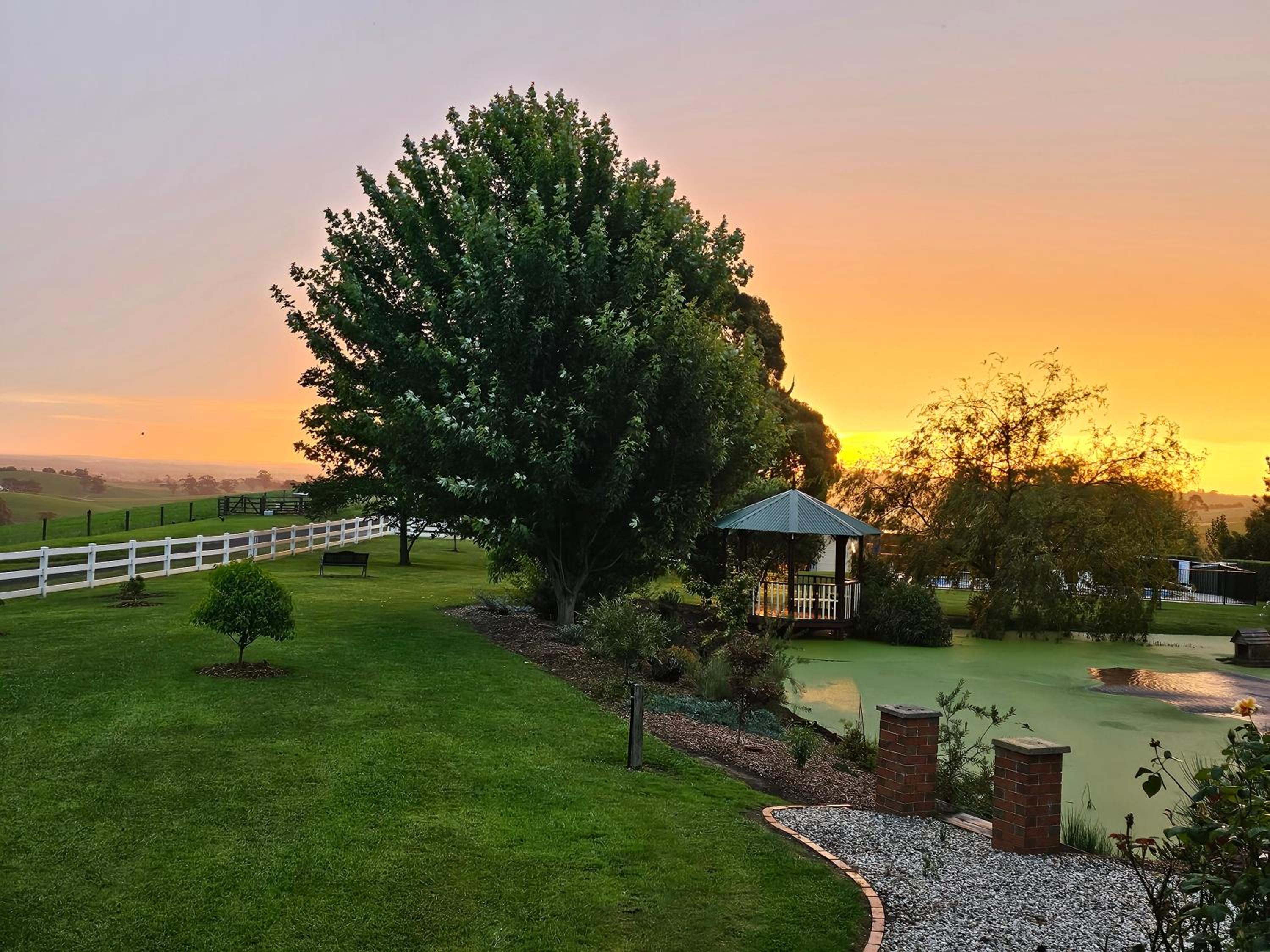 Maple Ridge Cottages