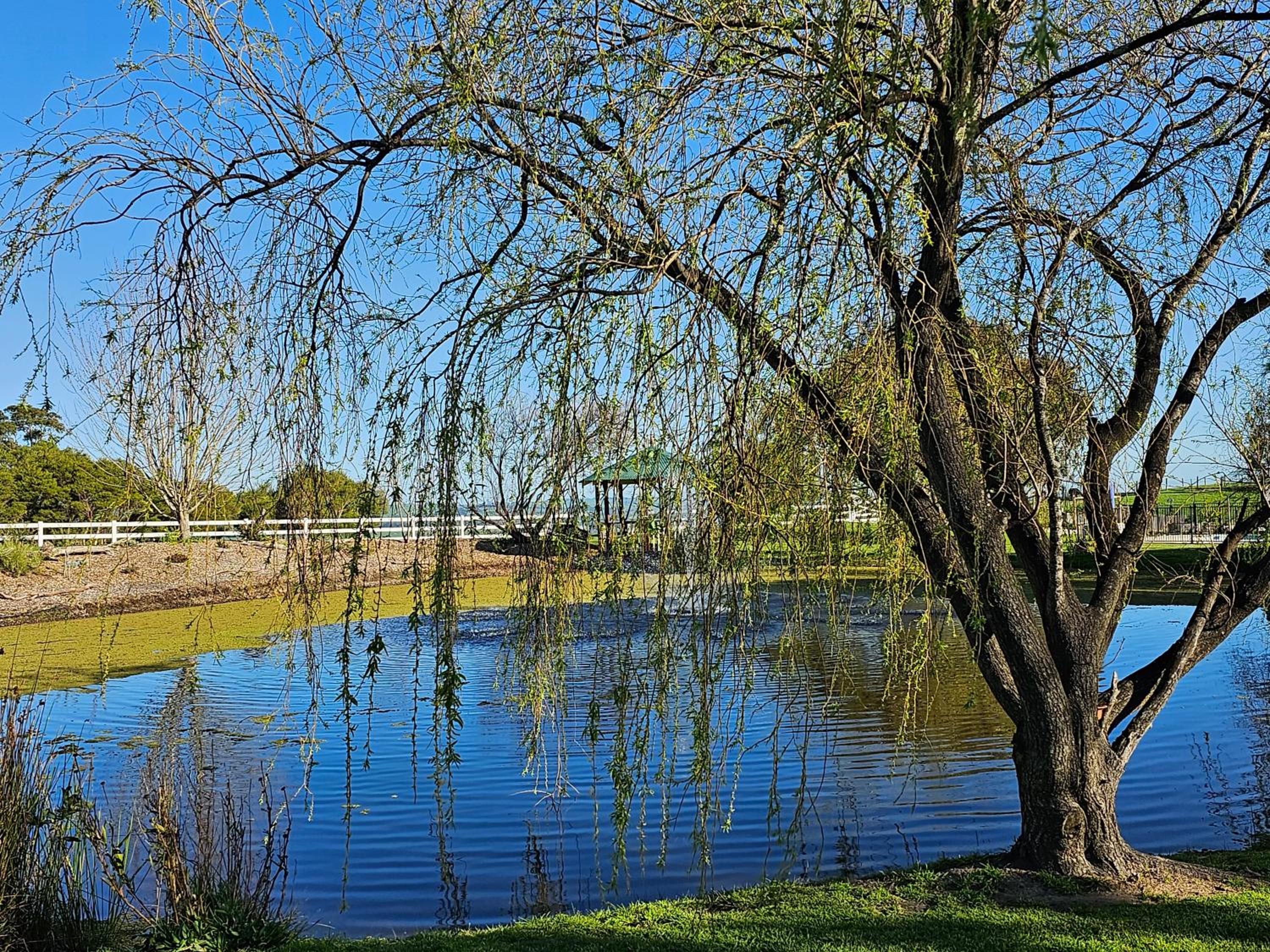 Maple Ridge Cottages