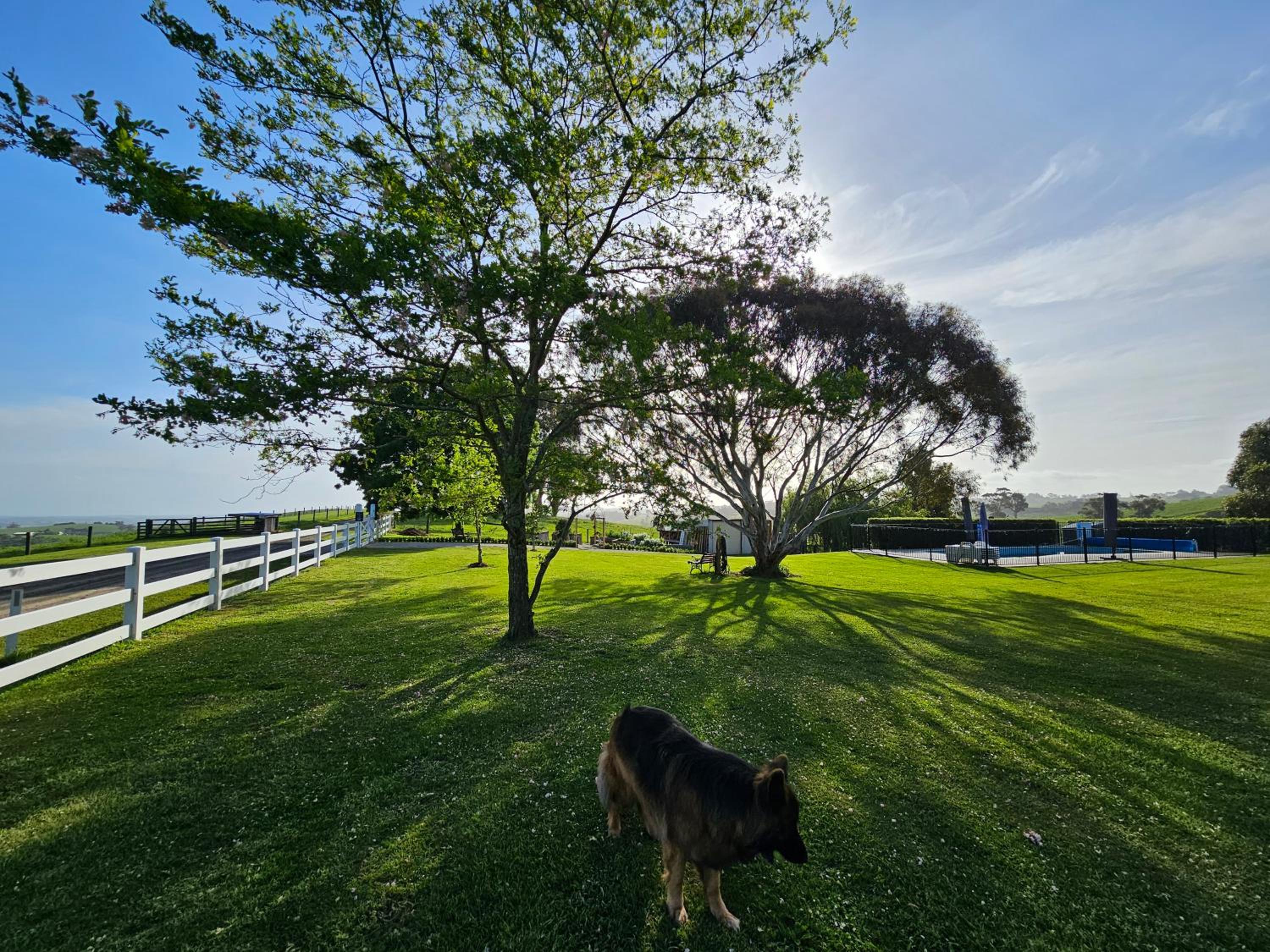 Maple Ridge Cottages