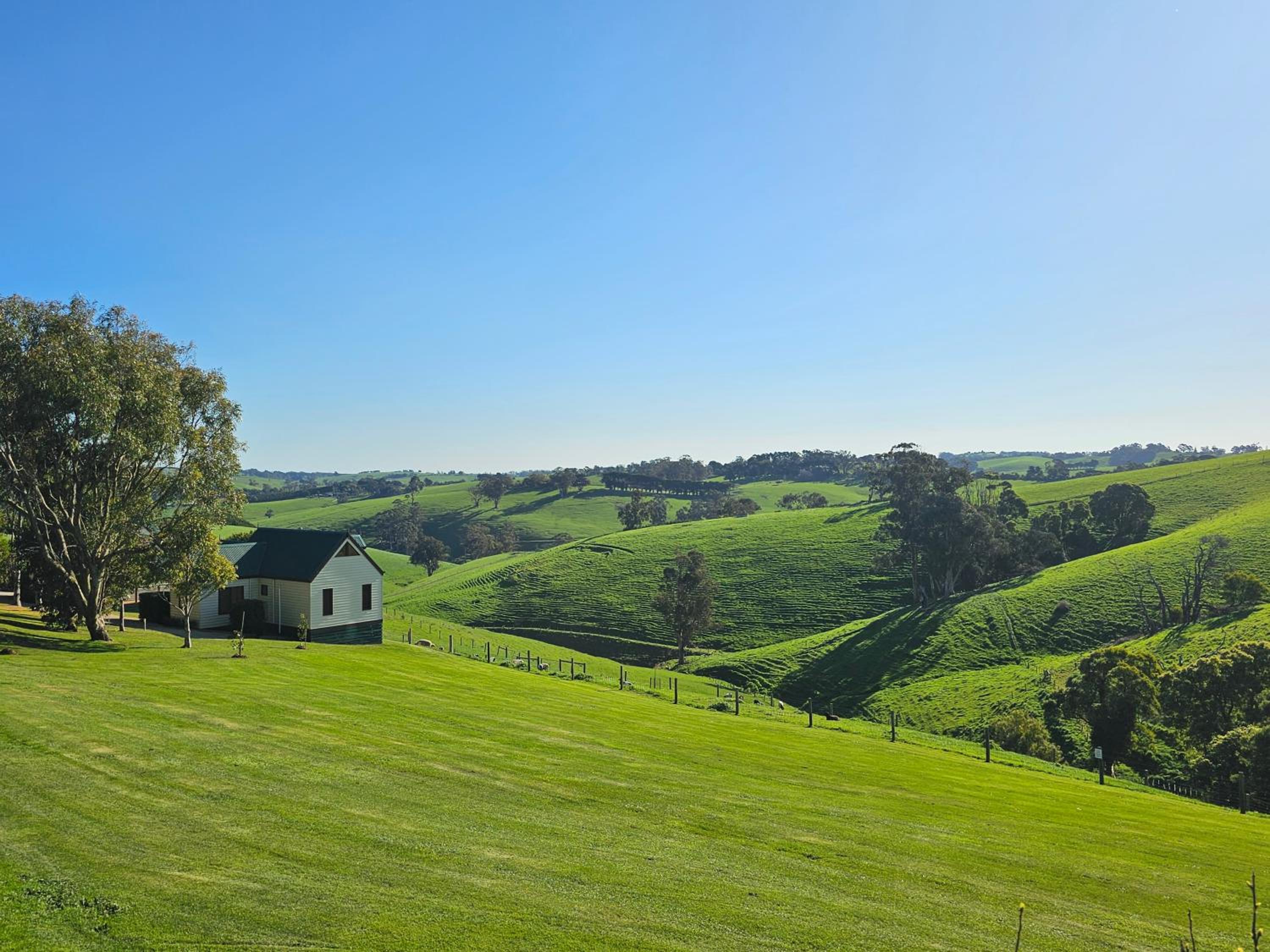 Maple Ridge Cottages