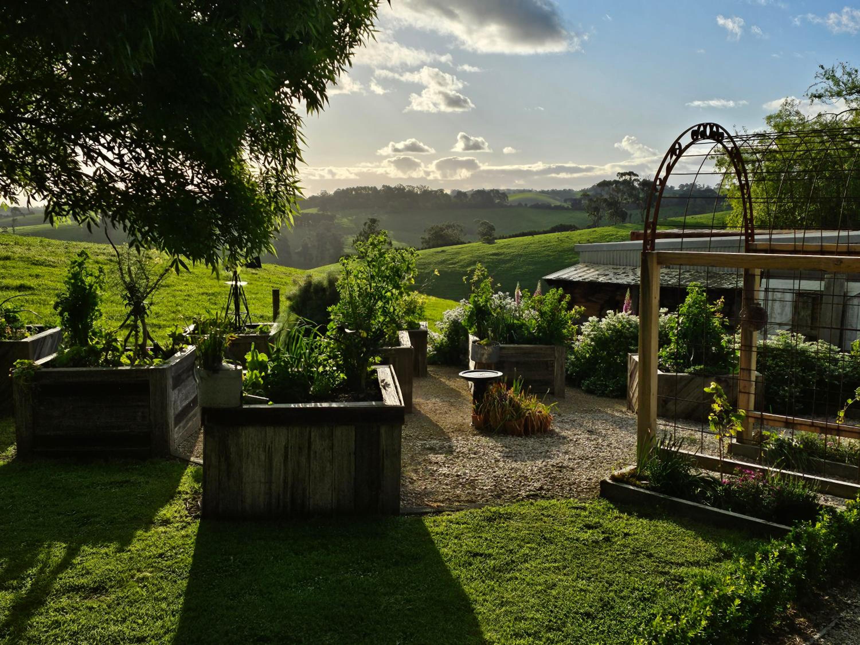 Maple Ridge Cottages