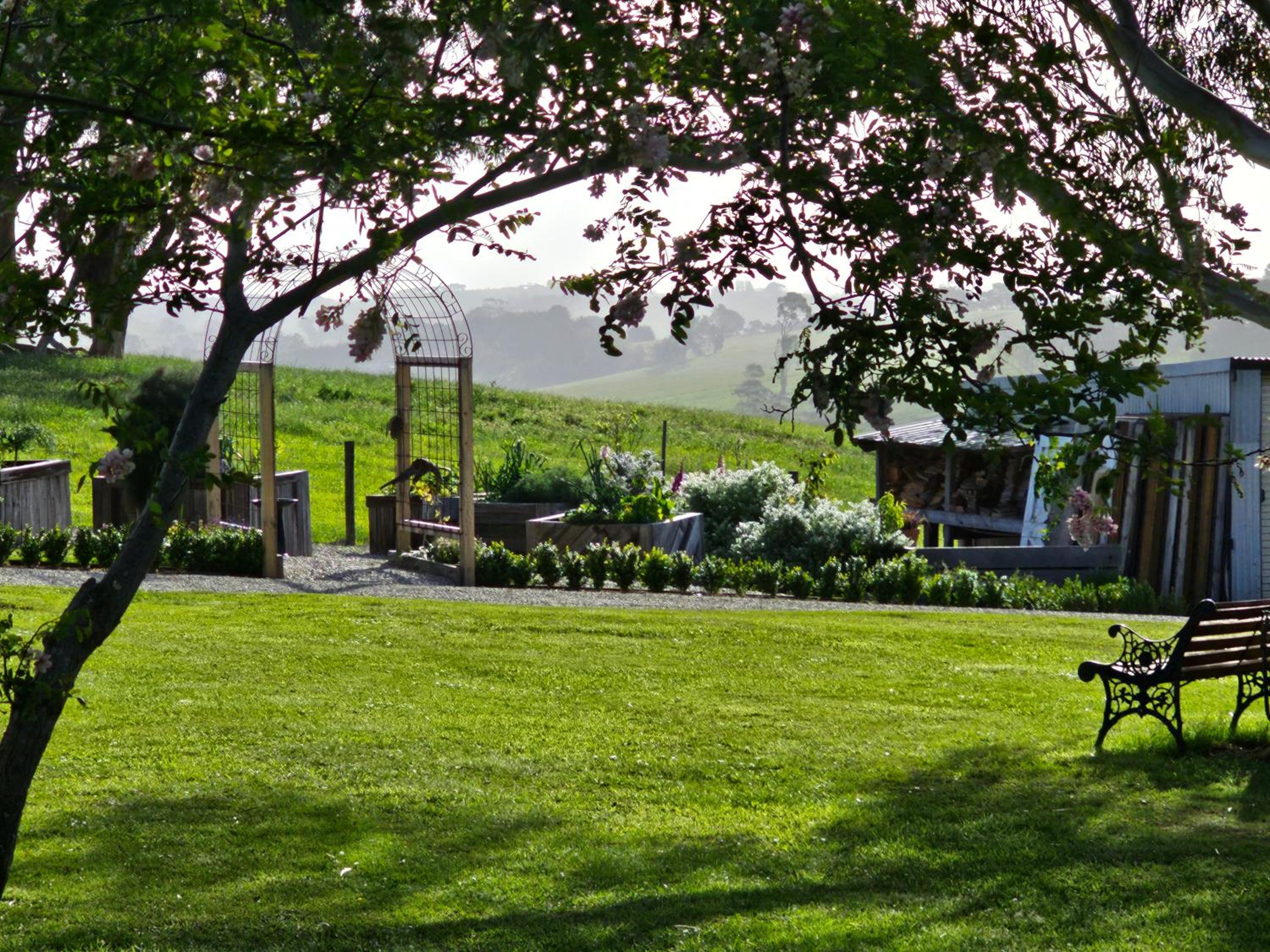 Maple Ridge Cottages