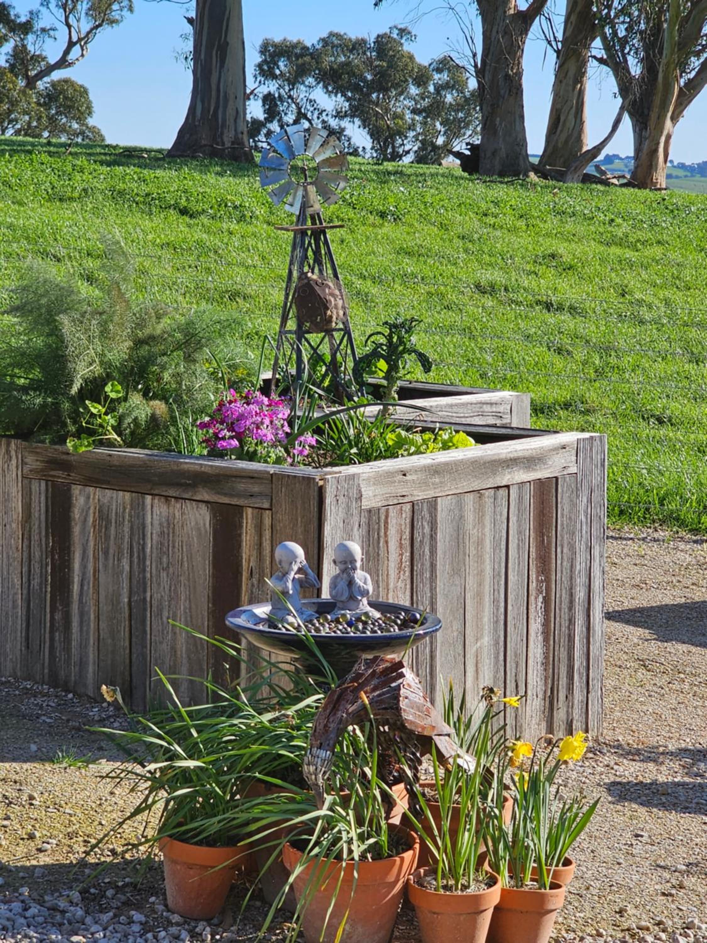 Maple Ridge Cottages