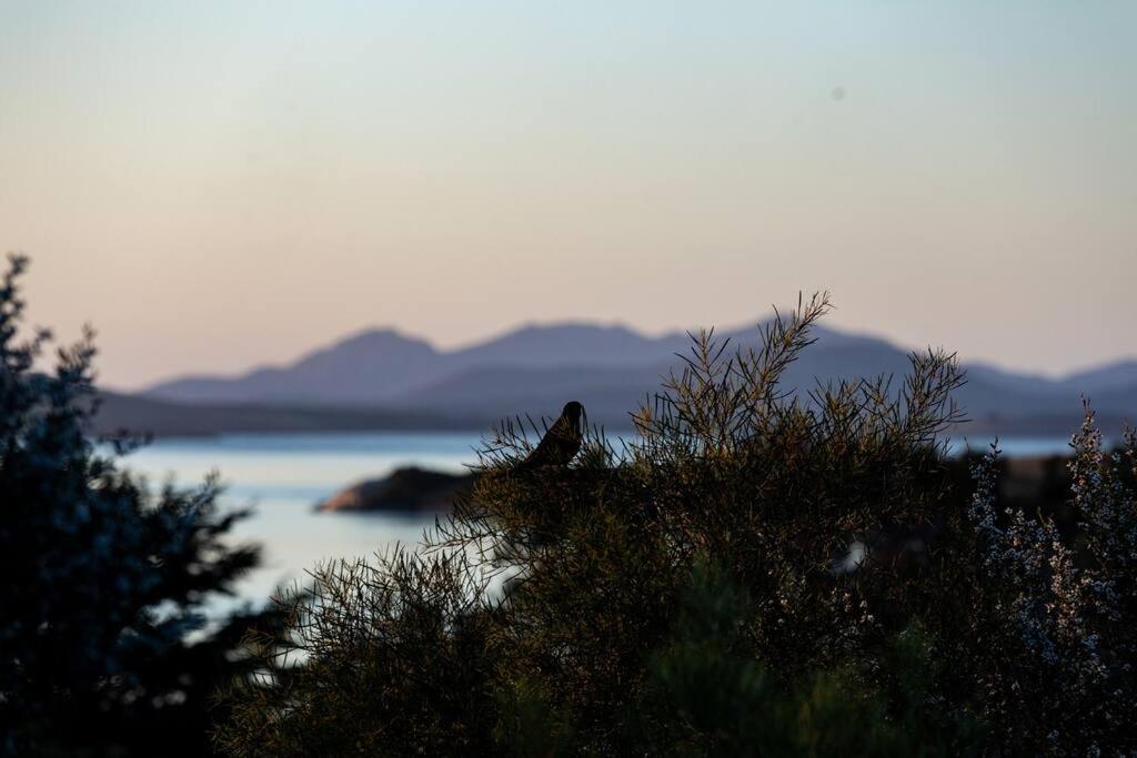 Faraway on Flinders Island